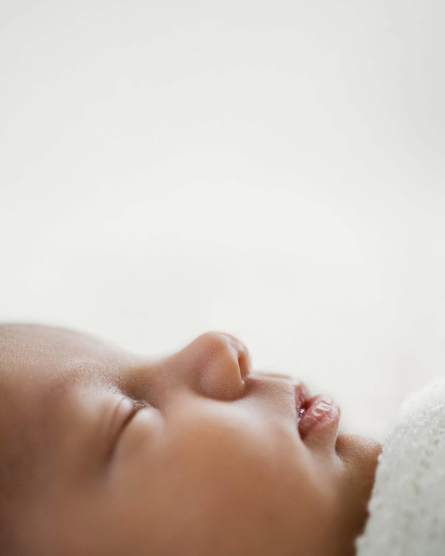 Three weeks of Shia + a full head of hair = pure perfection 🤍
.
.
.
#cagphotography
#montgomerycountyphotographer
#lehighvalleyphotographer
#buckscountyphotographer
#berkscountyphotographer