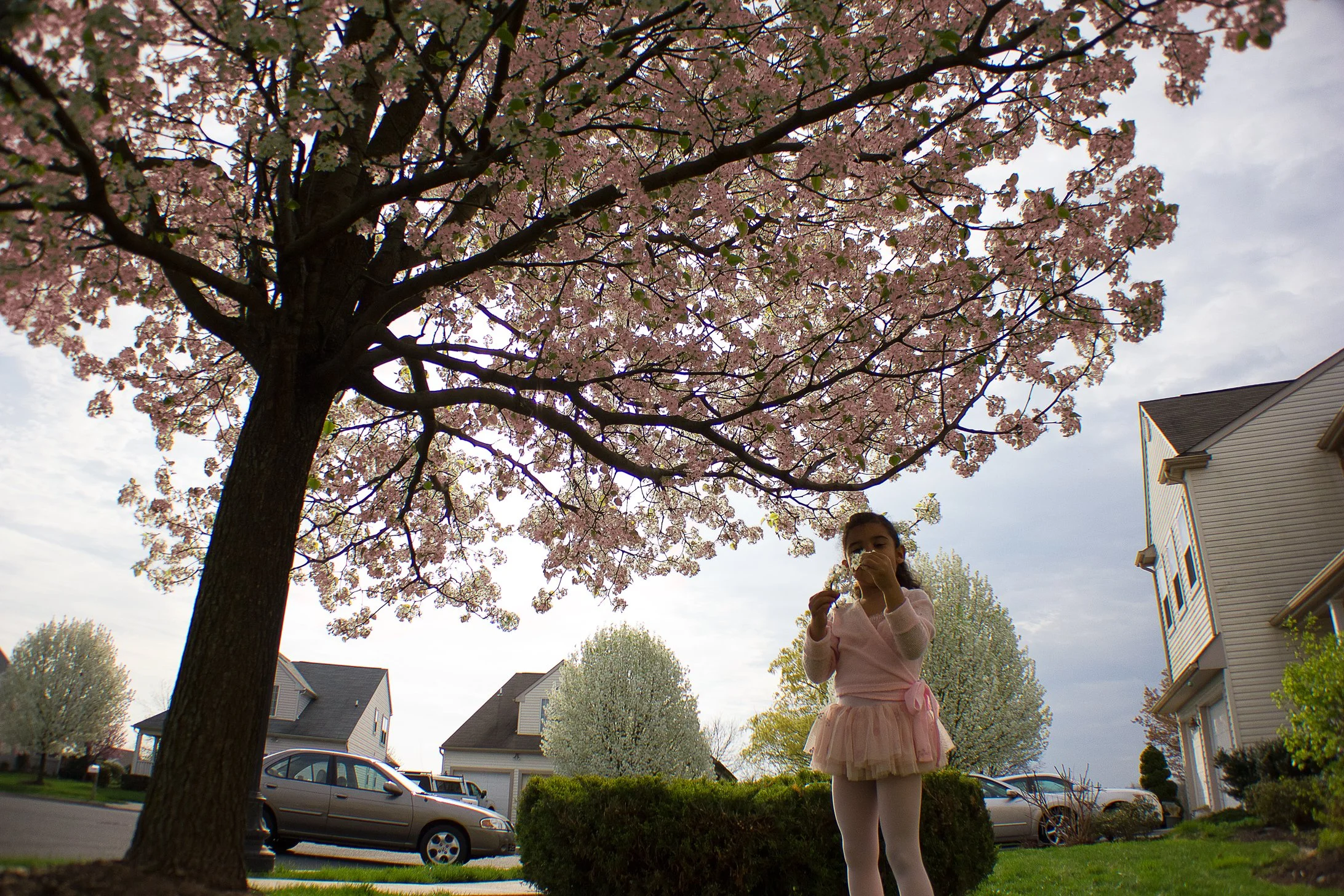kias_spring_2012.jpg