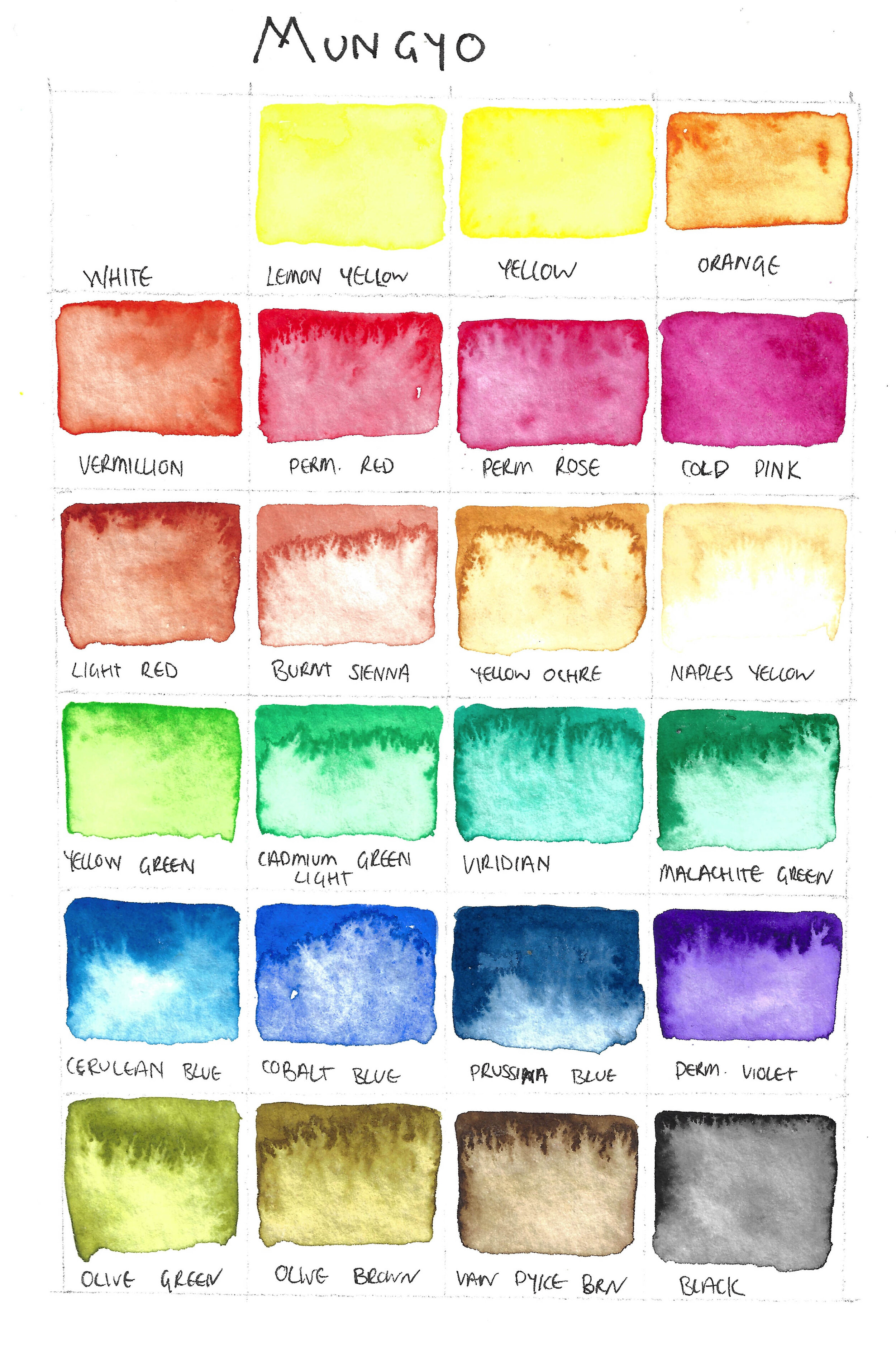 Mungyo watercolor 24 color paint set review and swatches