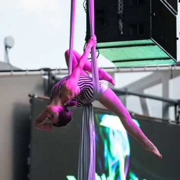 Fighting Gravity - Elizabeth Smith