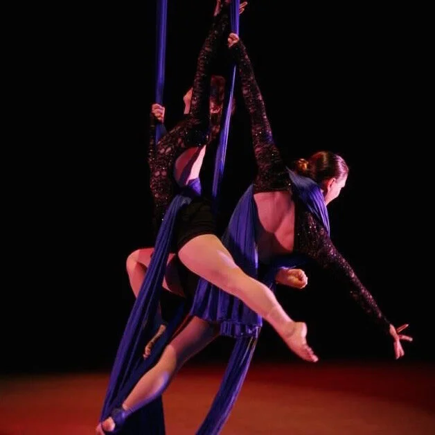 Duo Silks: Sharing the Vertical Space  - Valerie Morris
