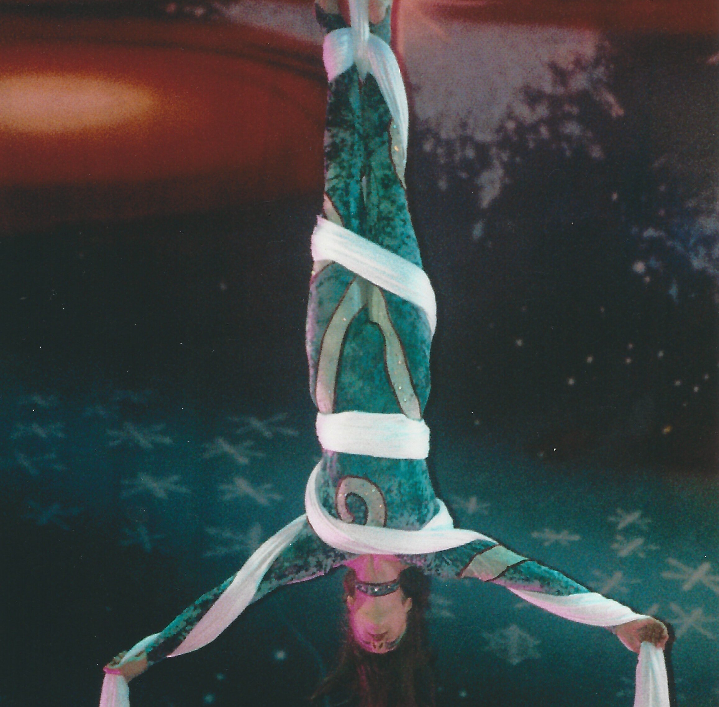 Costuming for Aerial Performance - Cathy Gauch