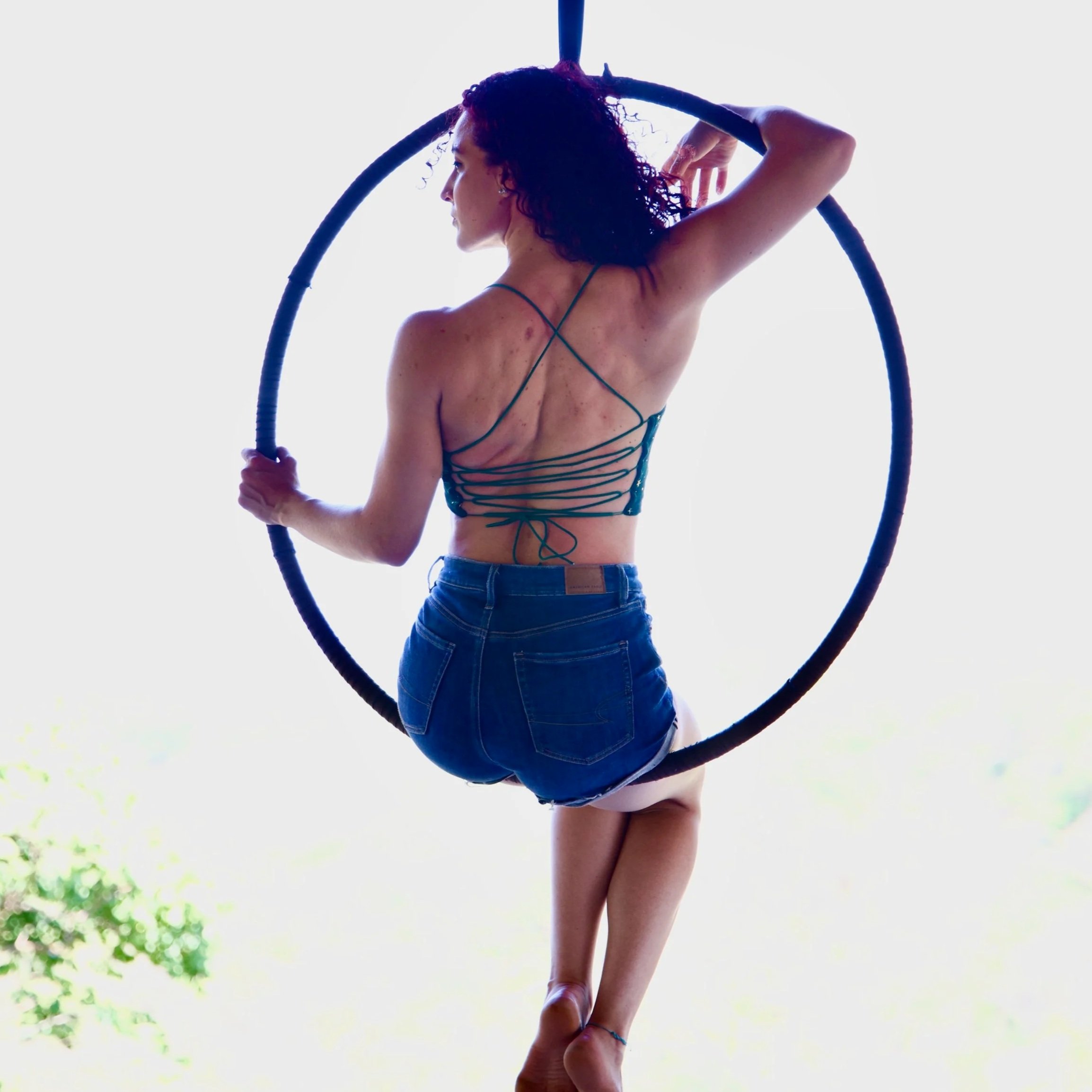 All the Rolls! - Sofia Rodriguez