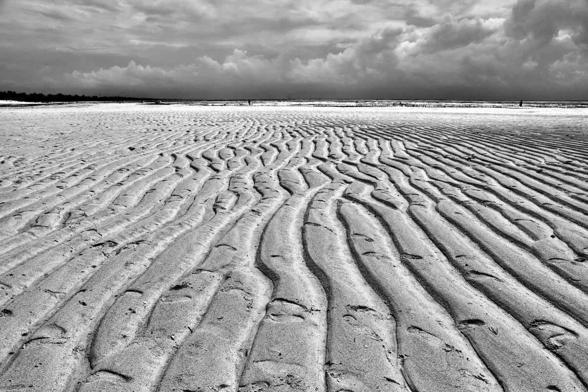 Zanzibar Sand(zi)bar
