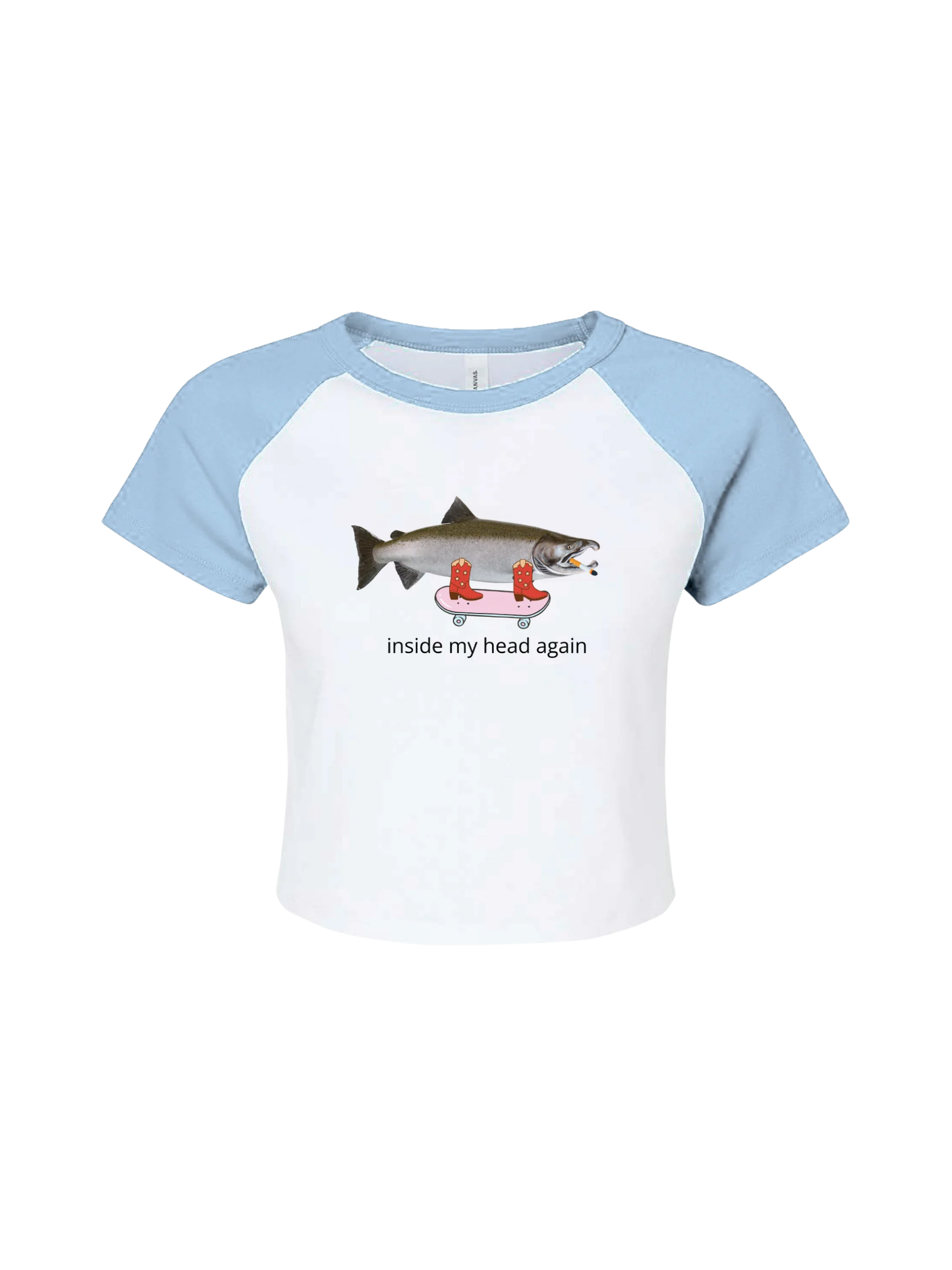 fishtrns (7).png