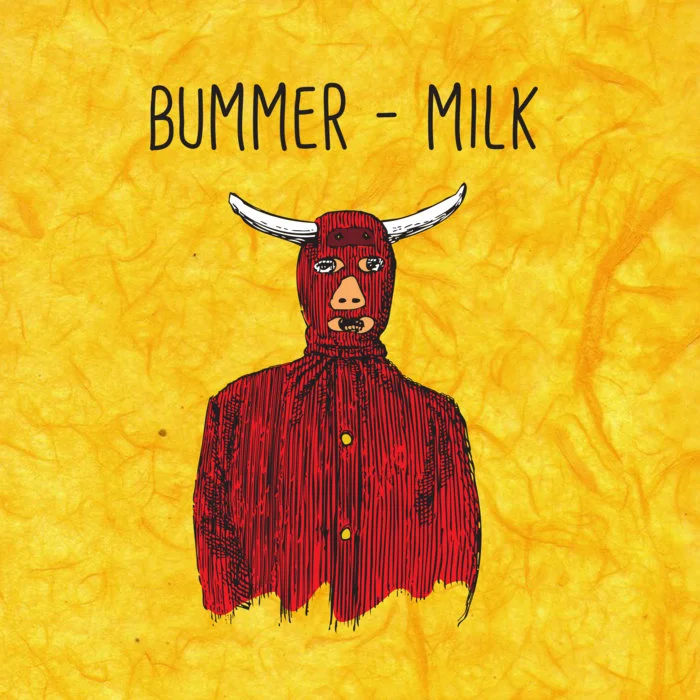 bummer album 2.jpg