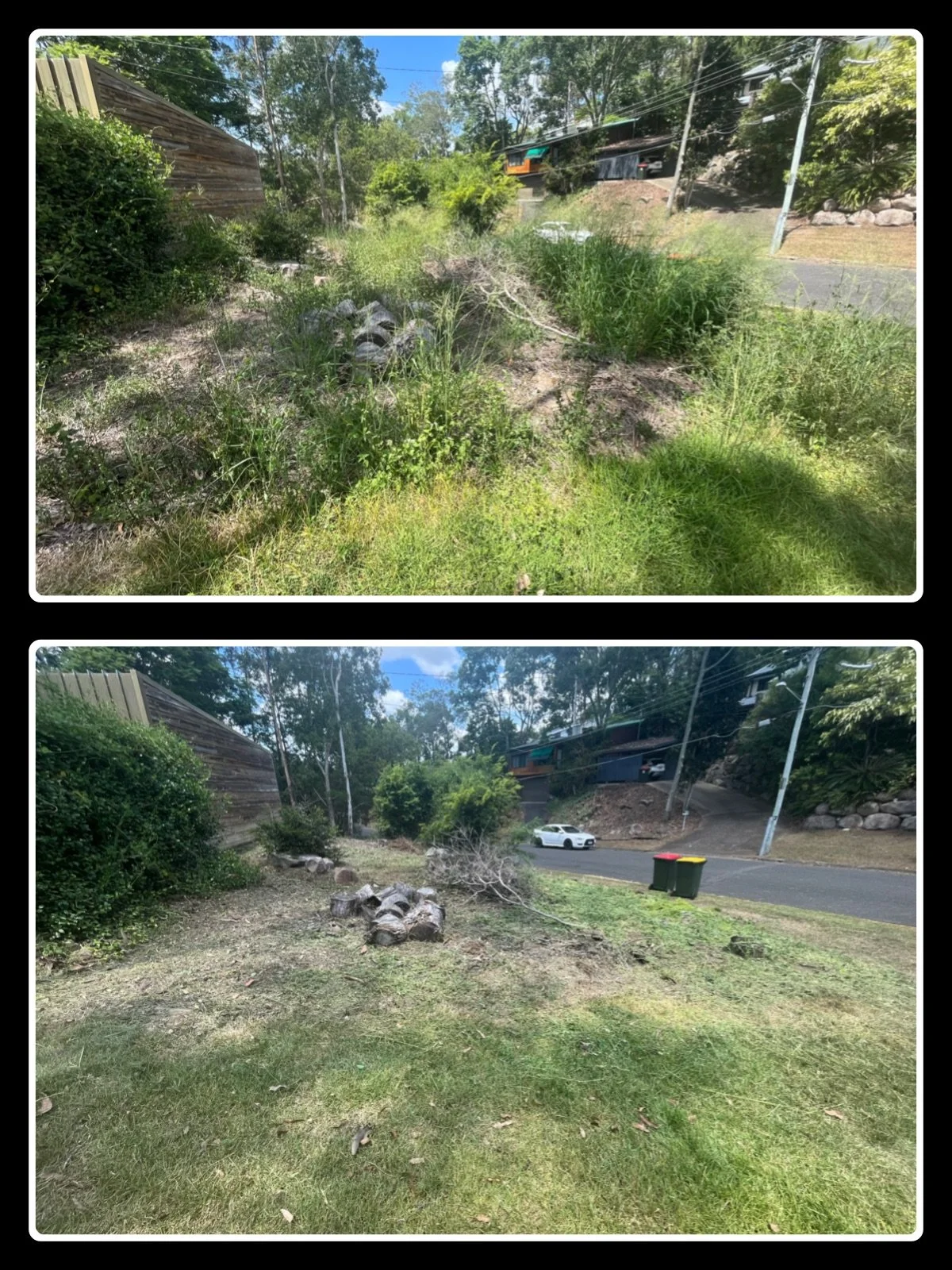 grass better.jpg