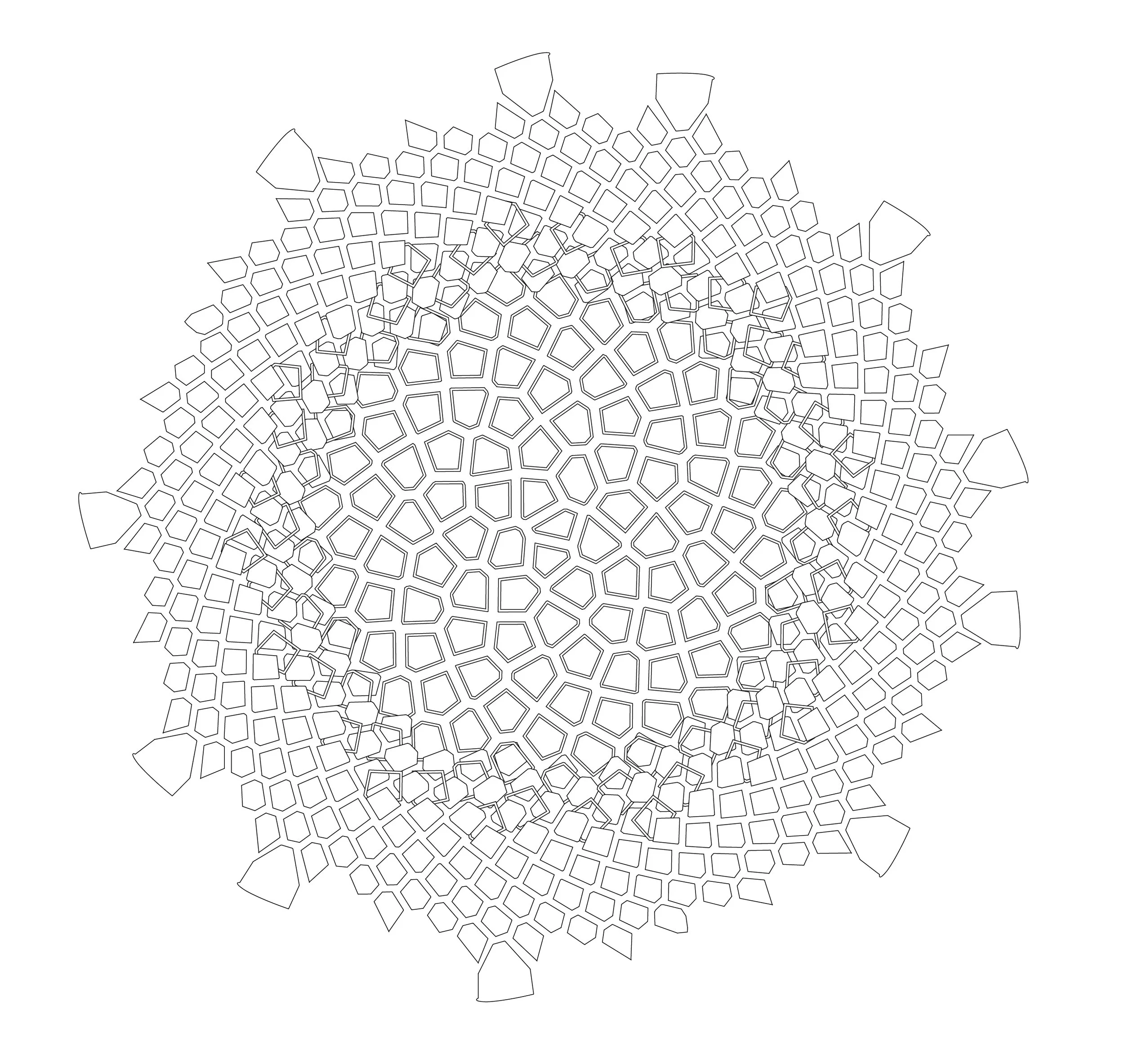 2D PATTERNS-01-01.jpg