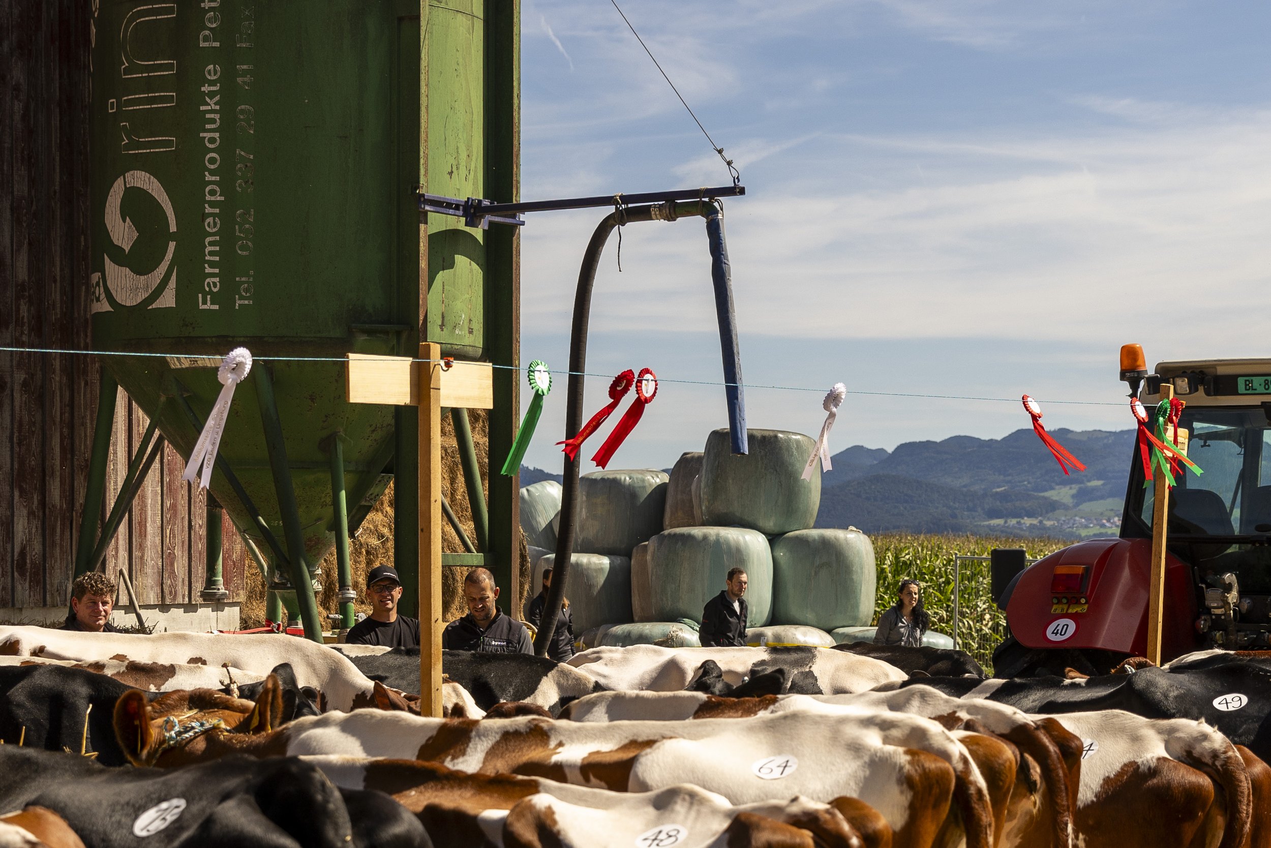 Viehschau_Schmidlin_a-zA-Z0-9-1.jpg
