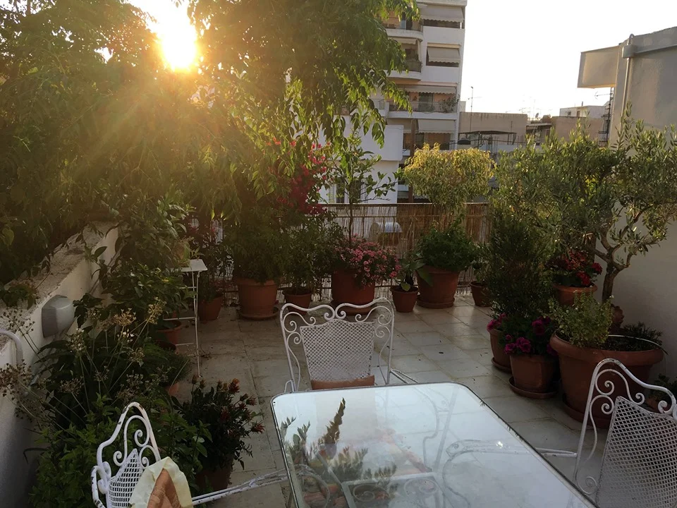 Yard in Petralona - work in progress