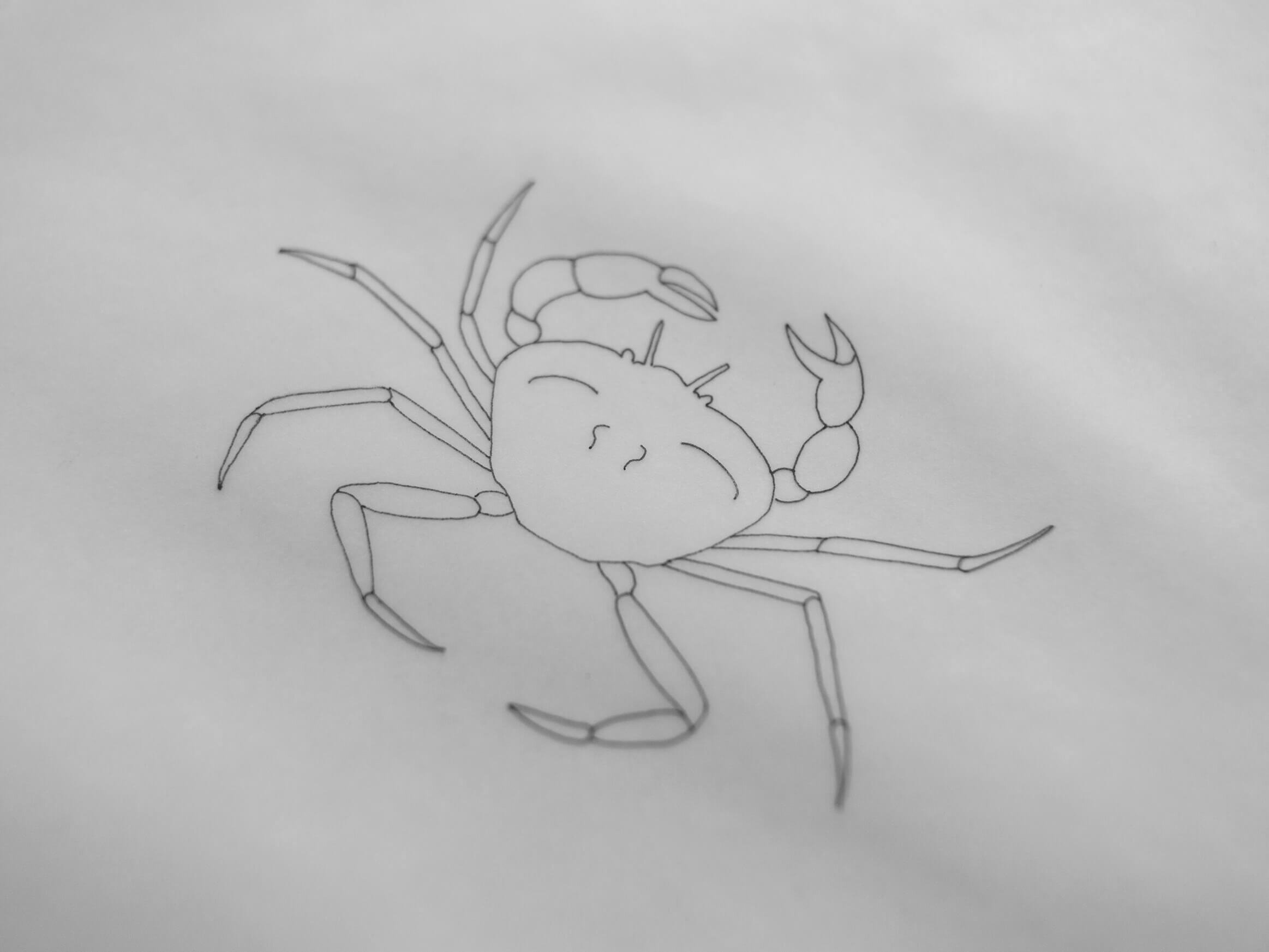 Chora Atelier_Crab_sketch_.jpg