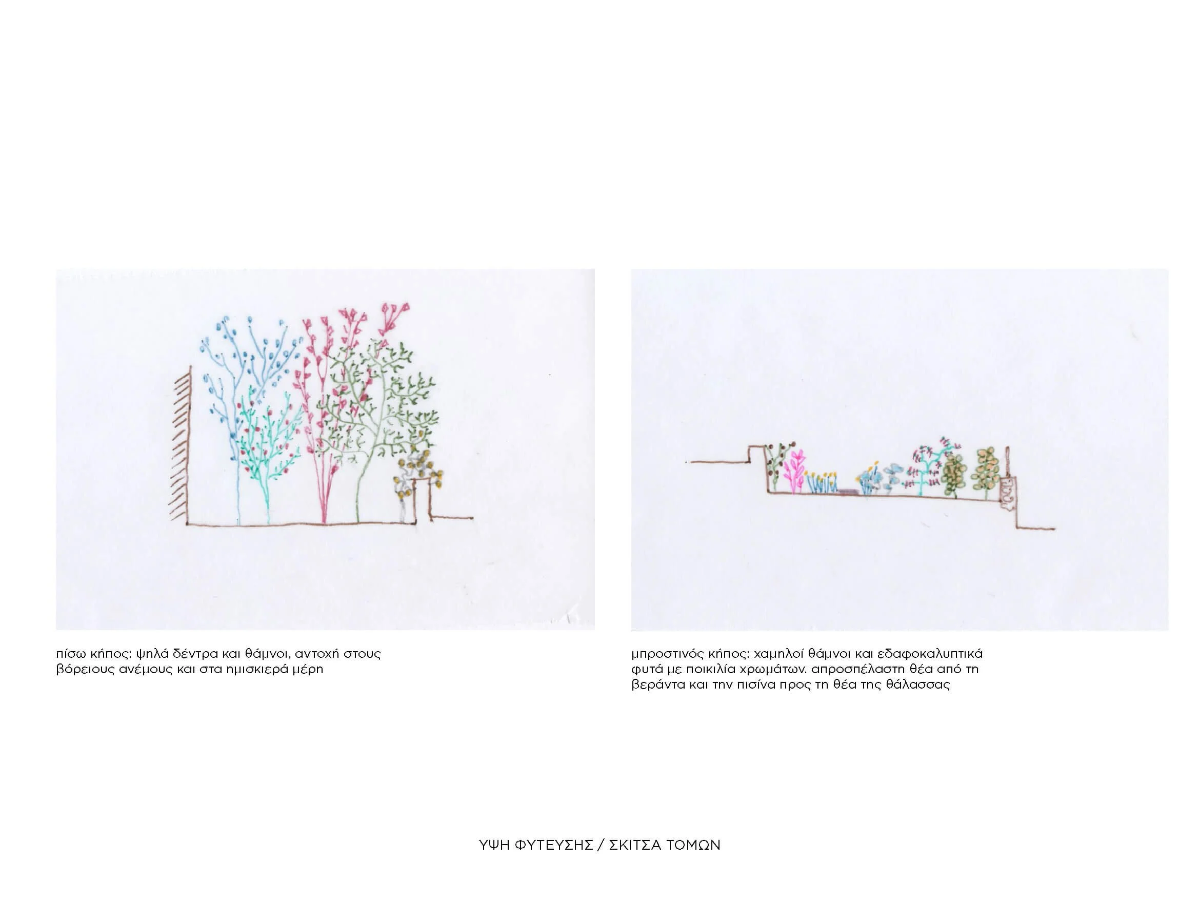 Chora Atelier_Arion Garden_sketches_sections.jpg