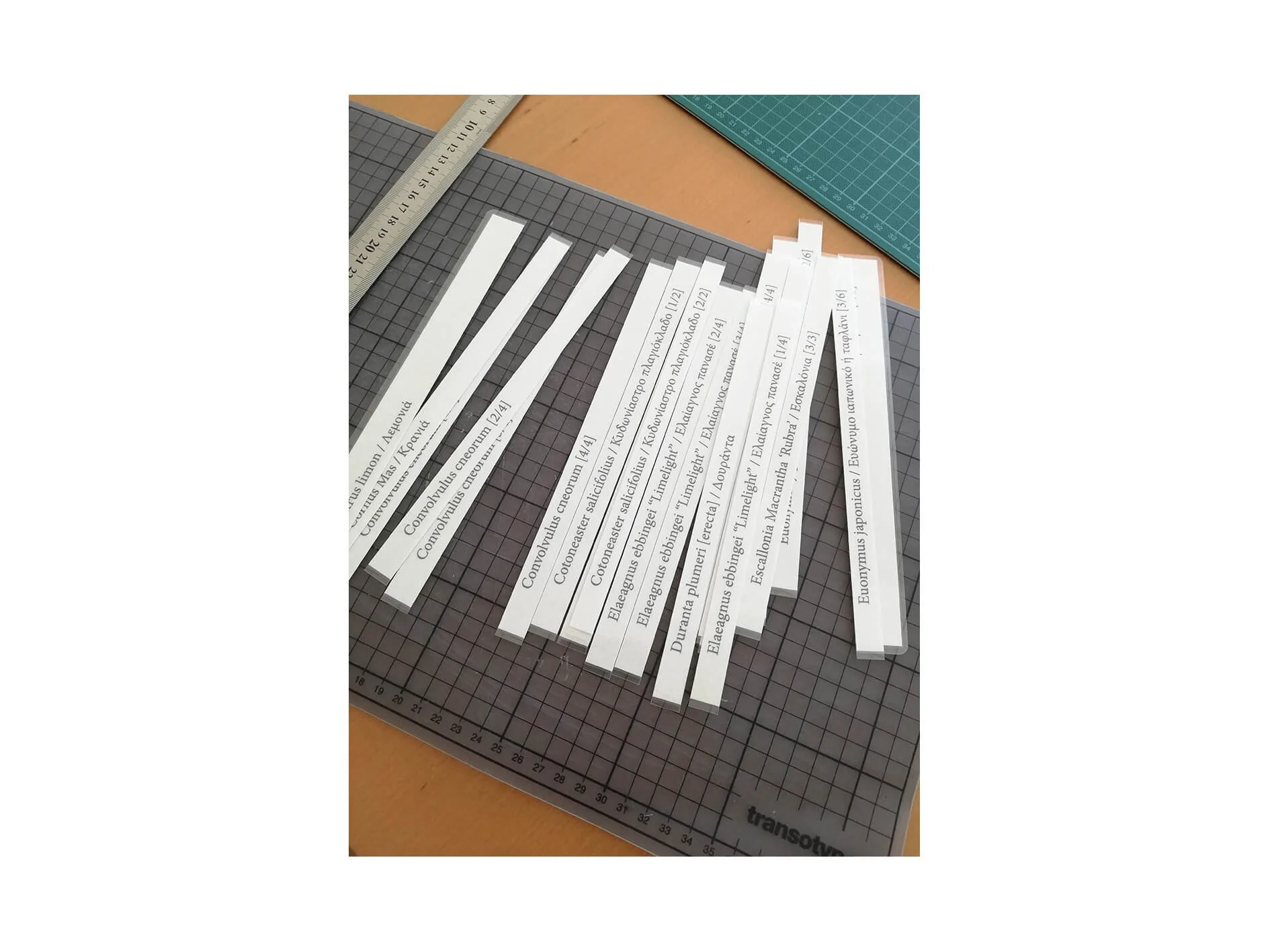 Chora Atelier_Arion Garden_plants labels.jpg