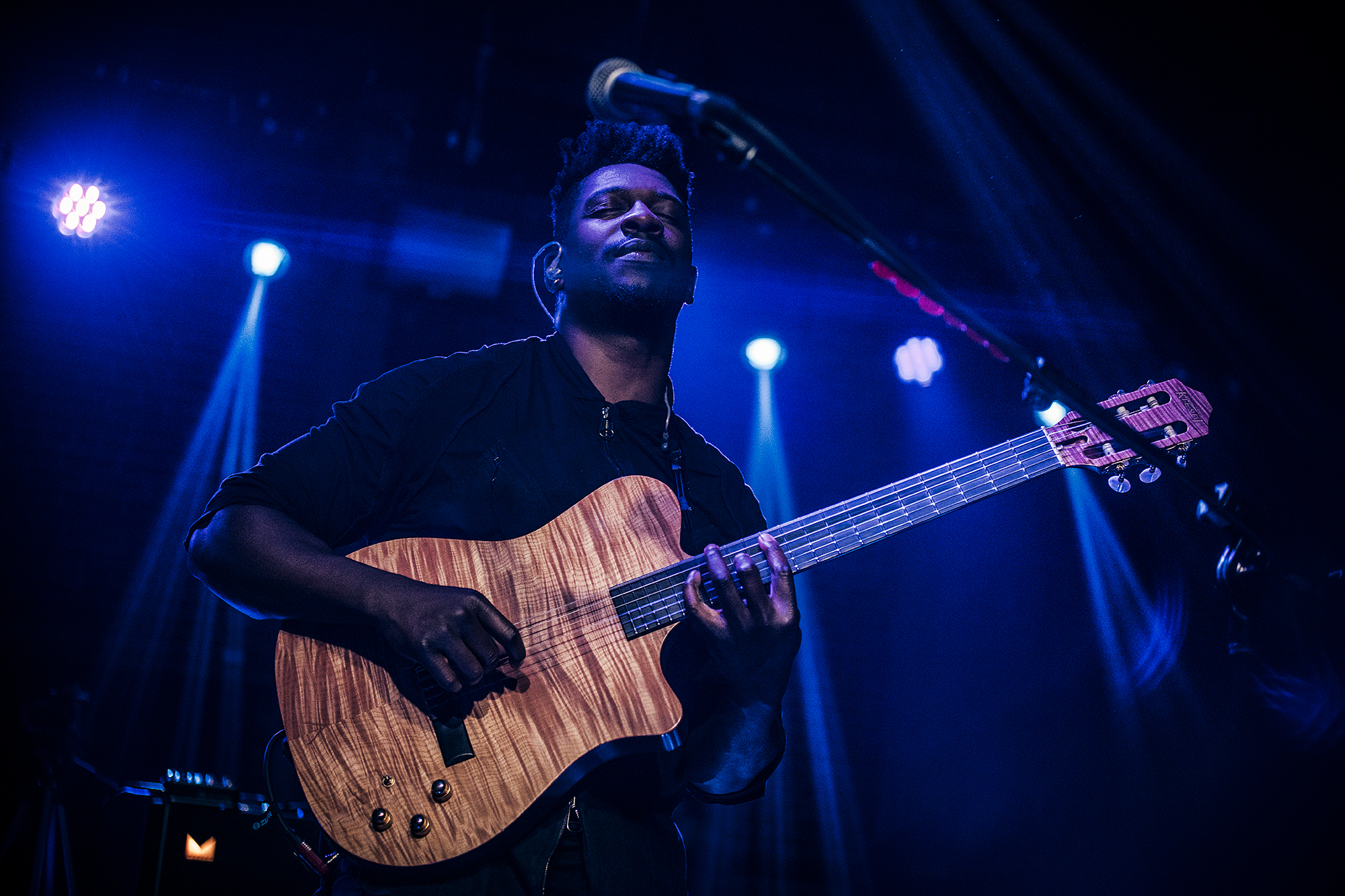 Animals As Leaders