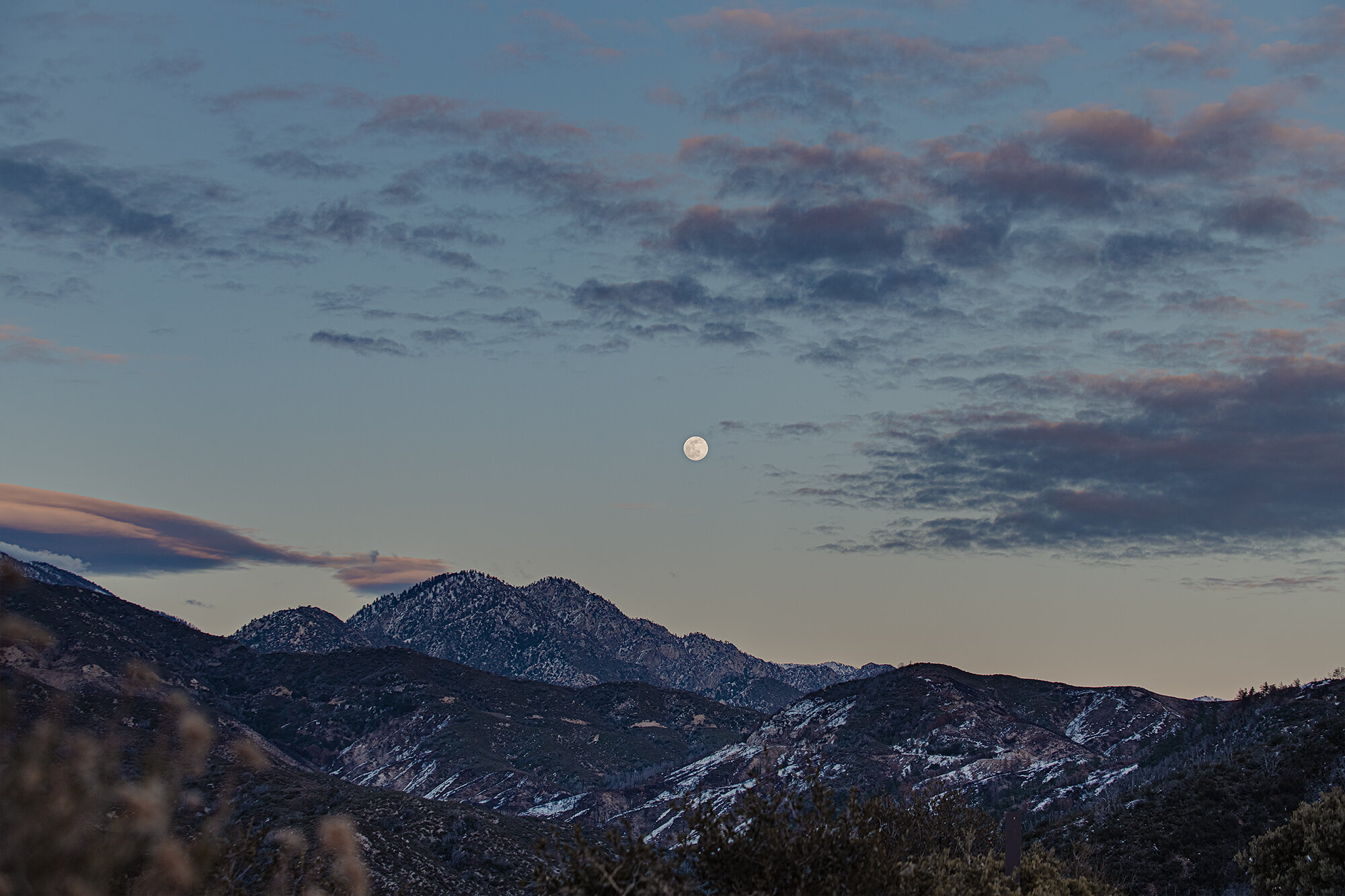 Angeles National Forest