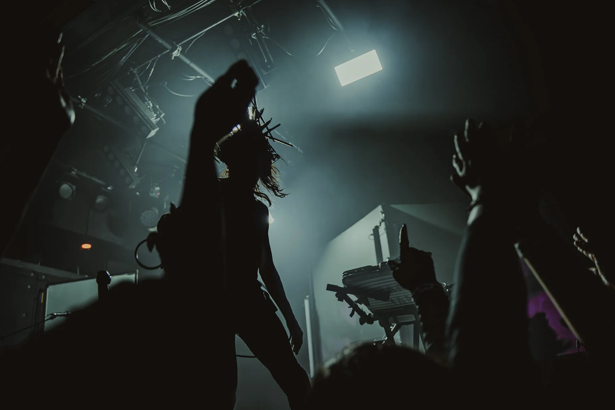 IAMX