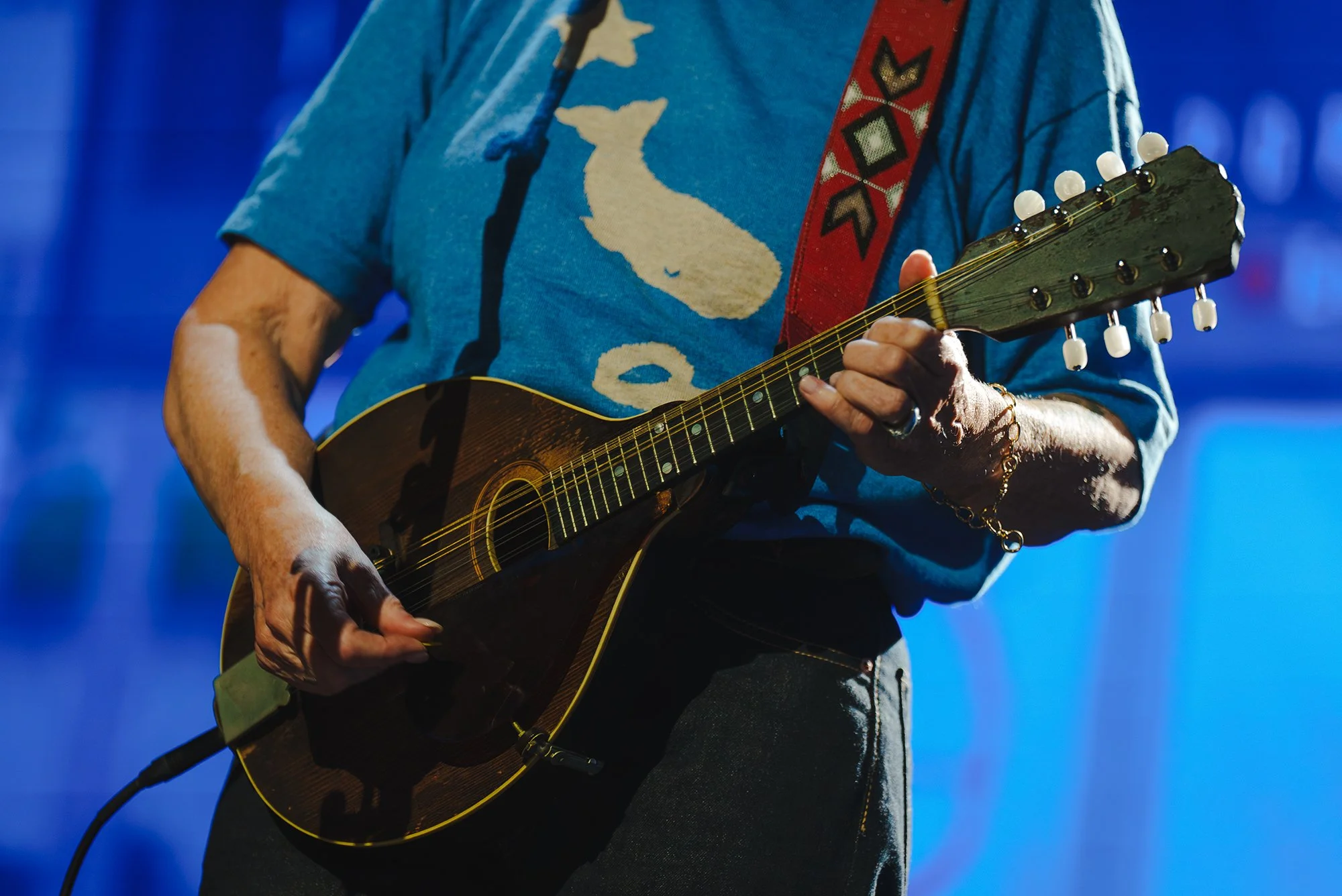 Indigo Girls