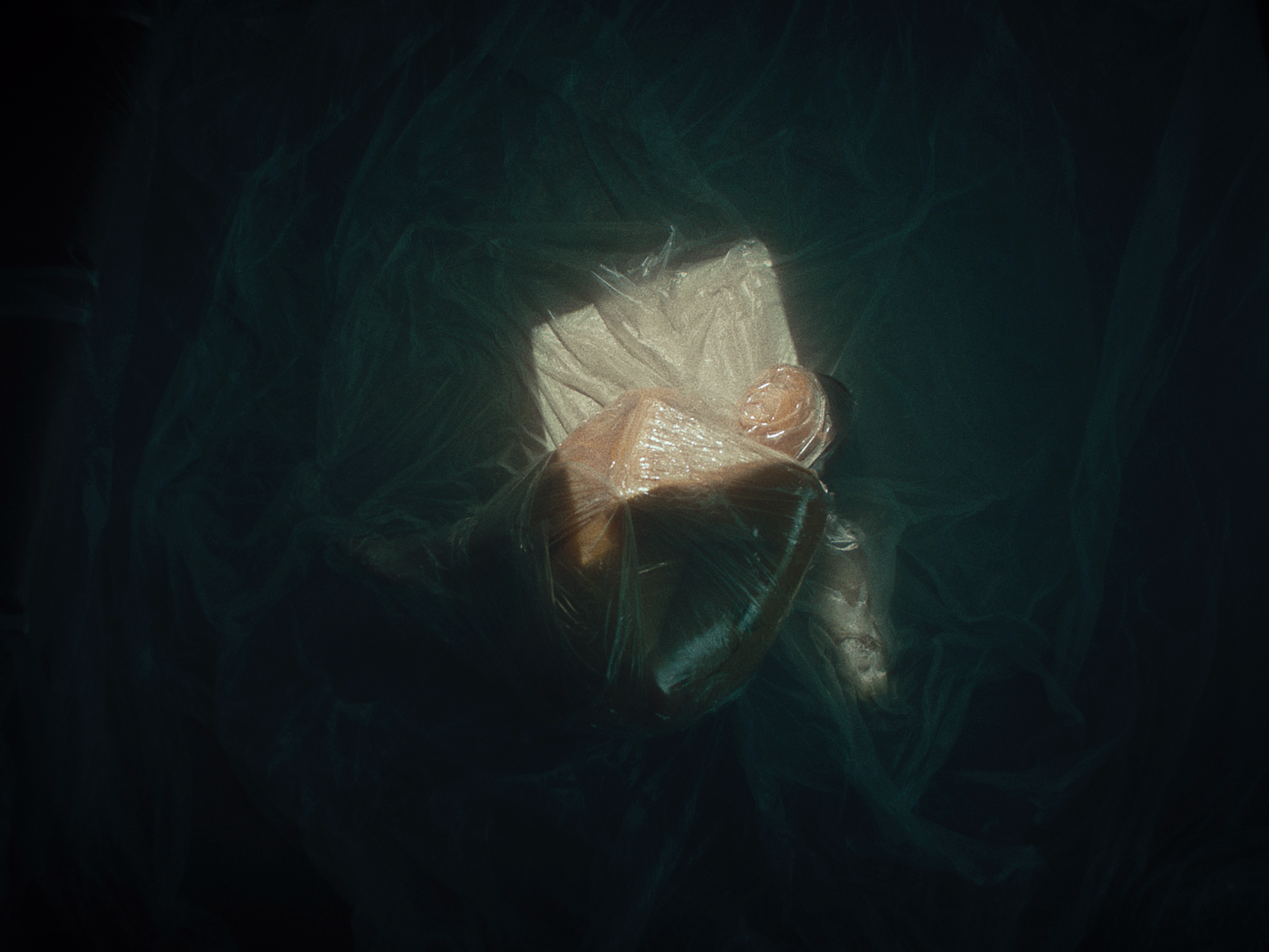 vlcsnap-2021-07-30-18h09m21s559.png