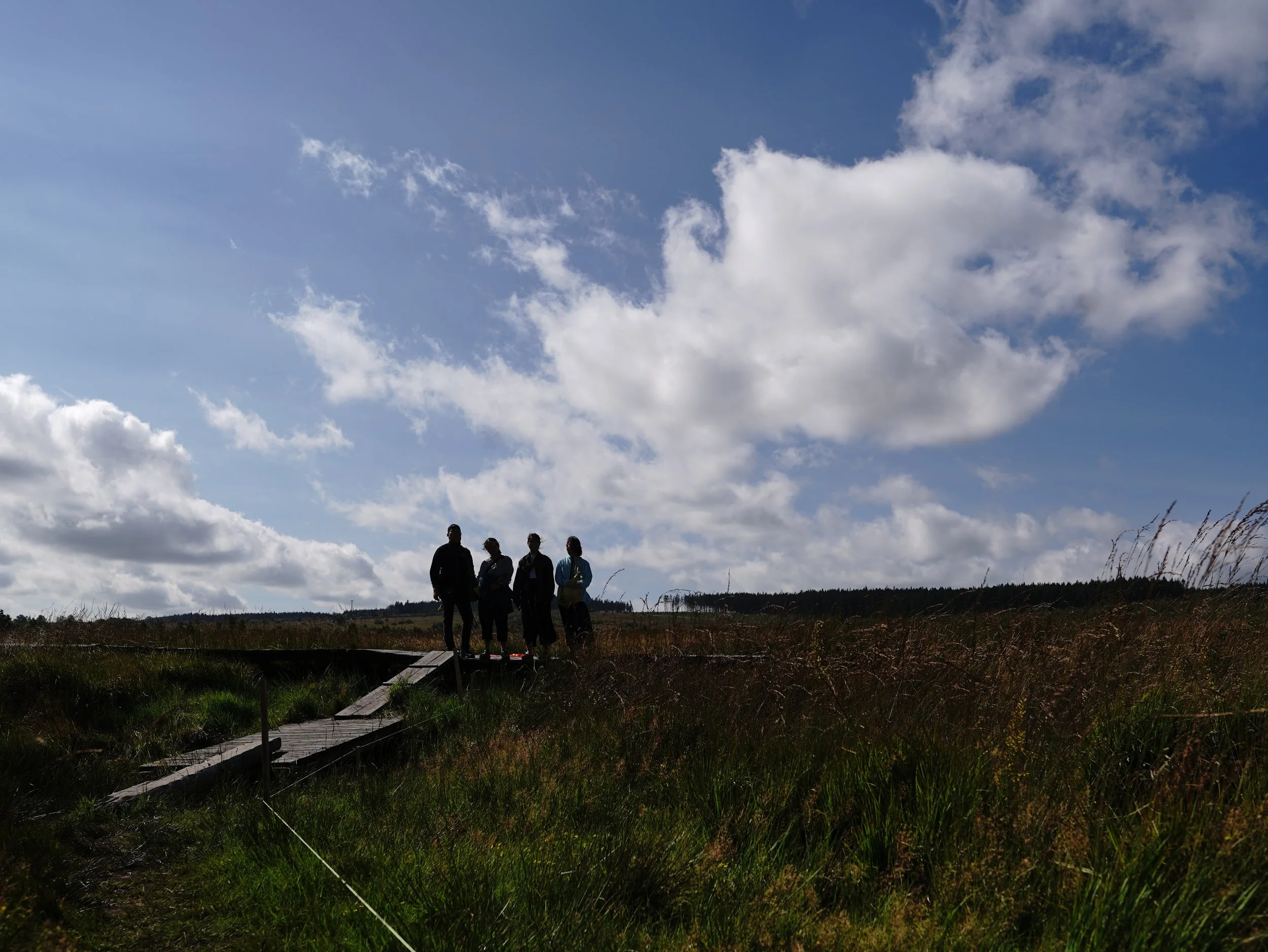 DSC01767.JPG
