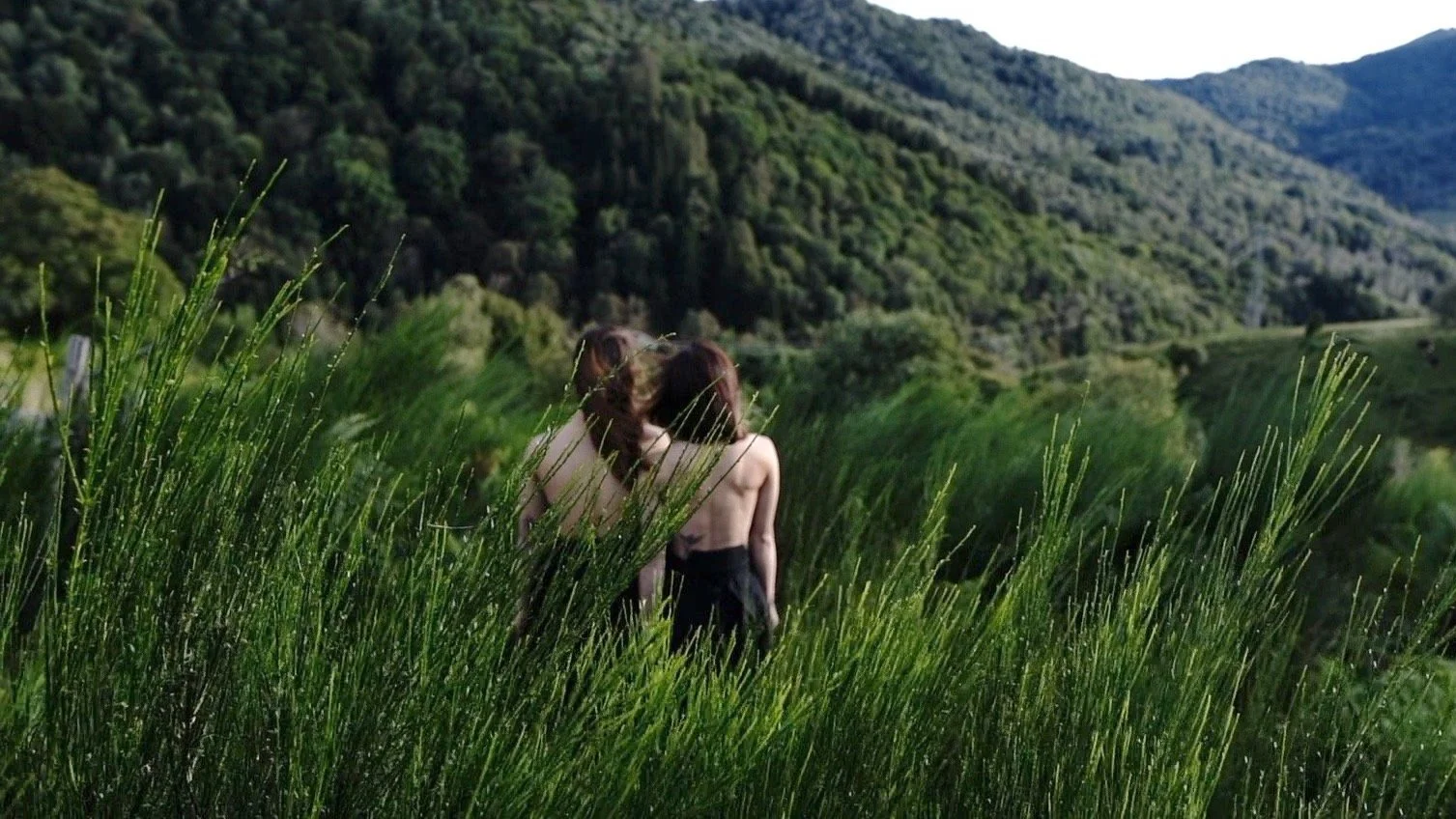 website homepage banner.jpg