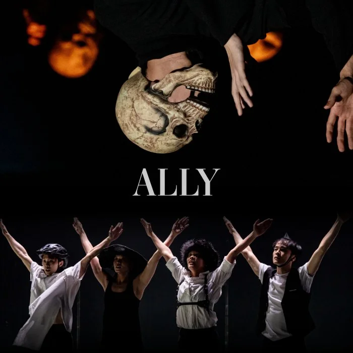 product image_ally.jpg