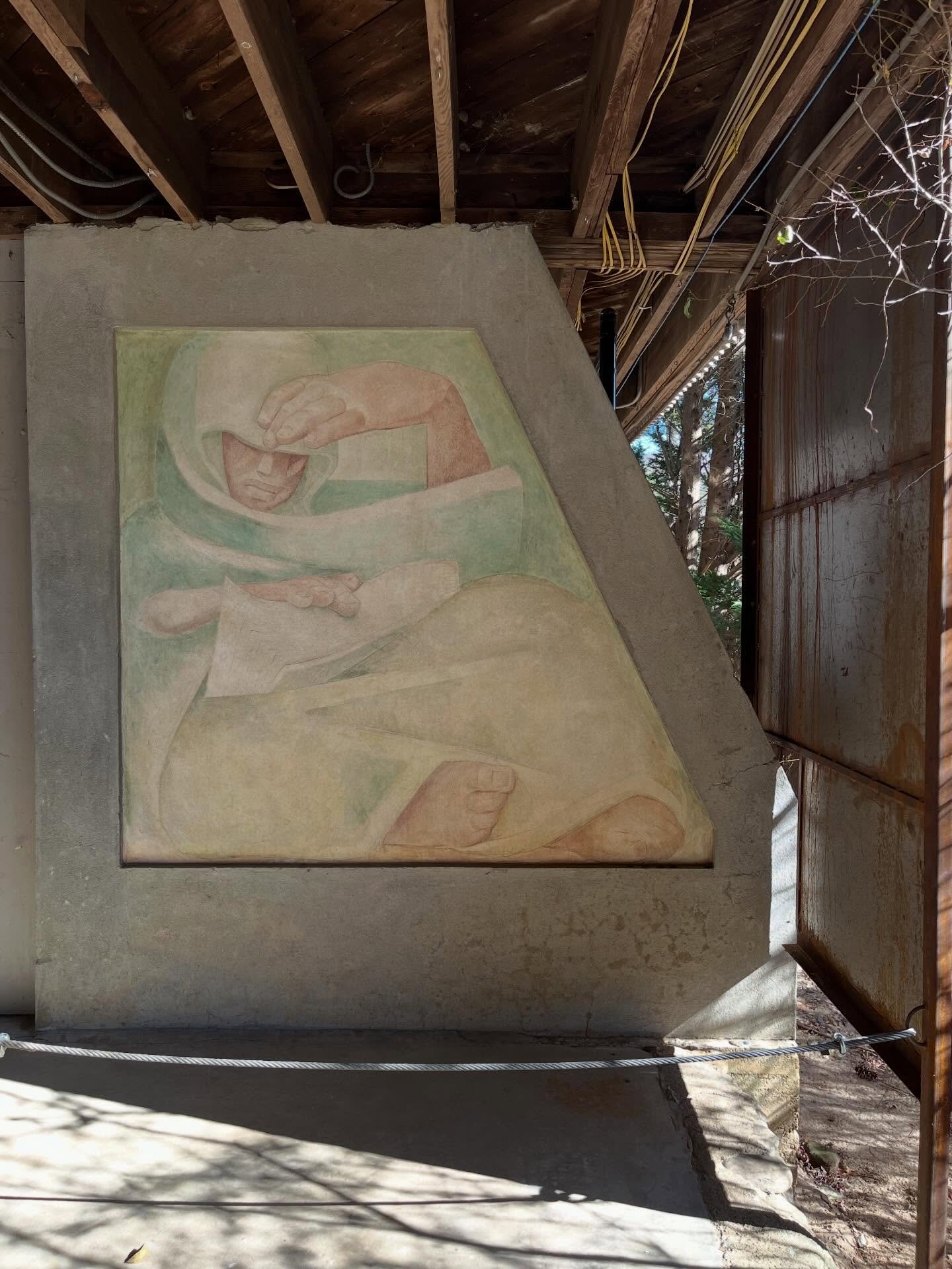 In December 2025 I scooted over to Black Mountain College Museum and Arts Centre in North Carolina @bmcmuseum as part of a grant from @creatensw // while there I did a site visit at the original college grounds, researched the communal living and com