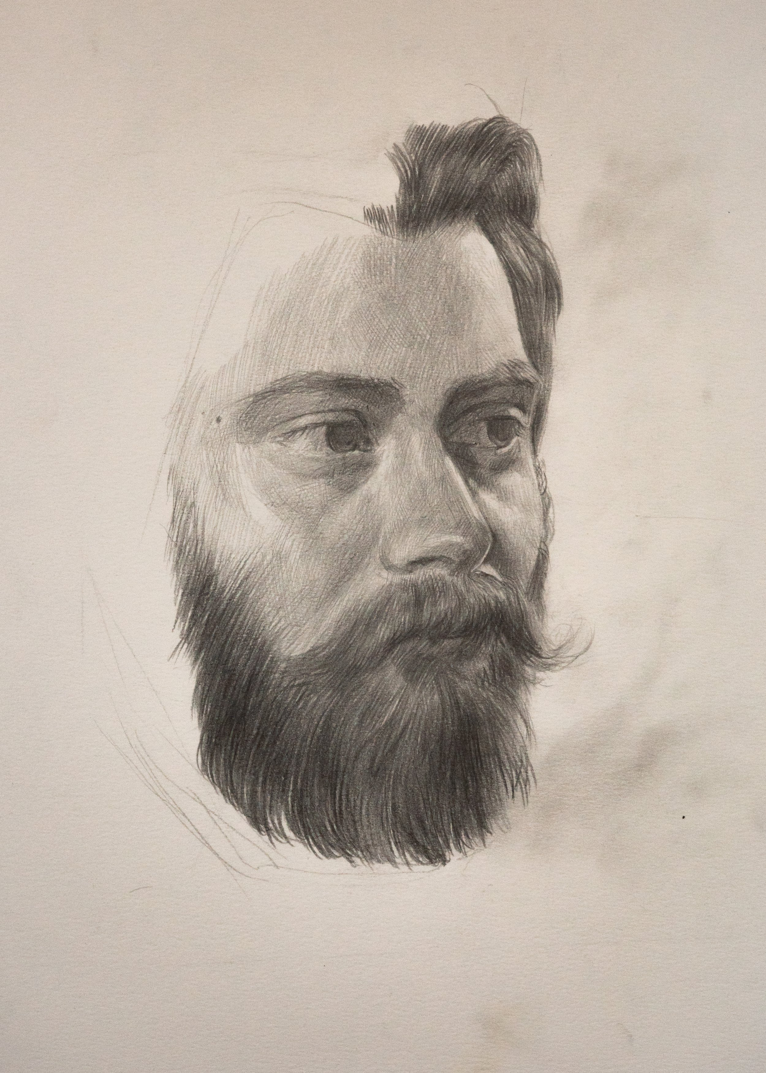 Study of Tim
