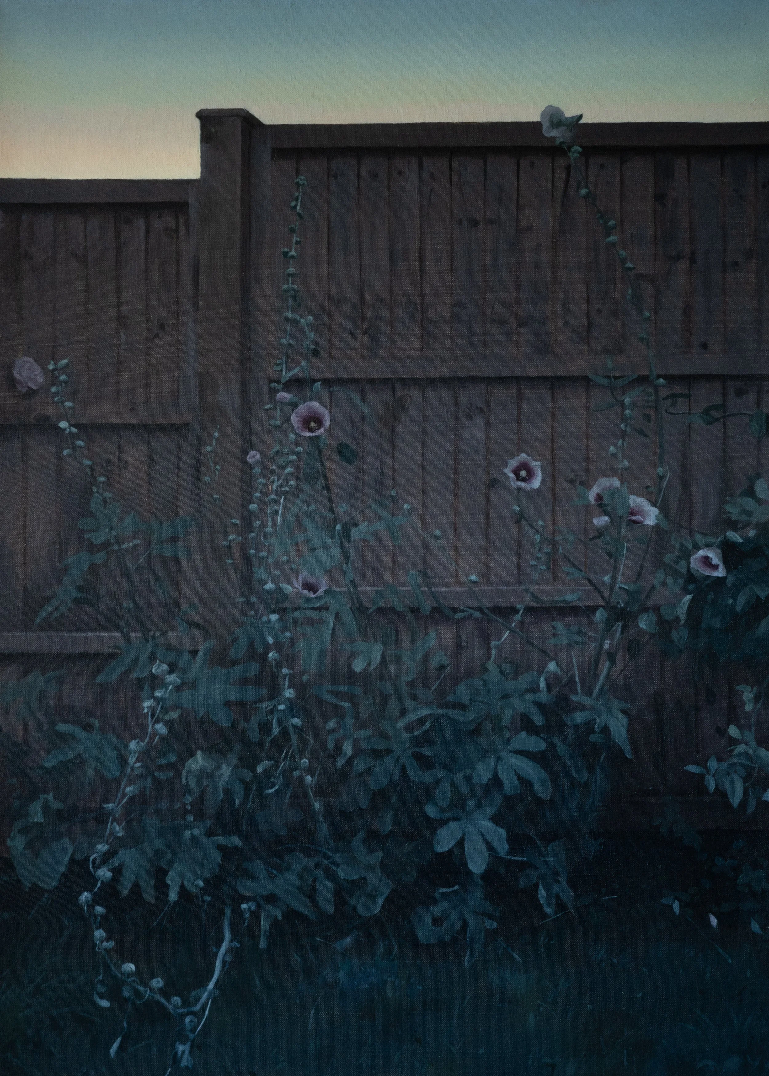 Hollyhocks