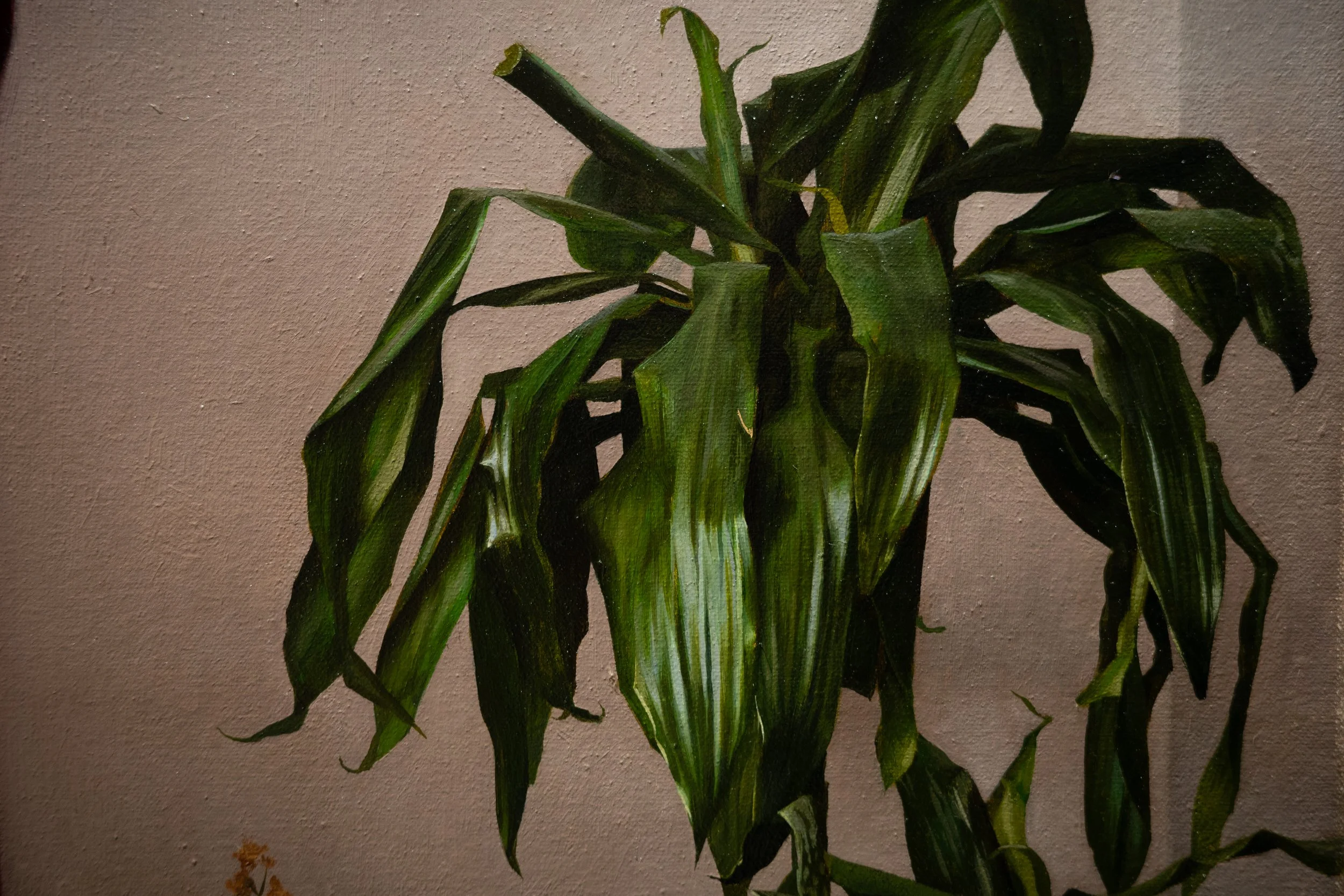 R0002948.jpg