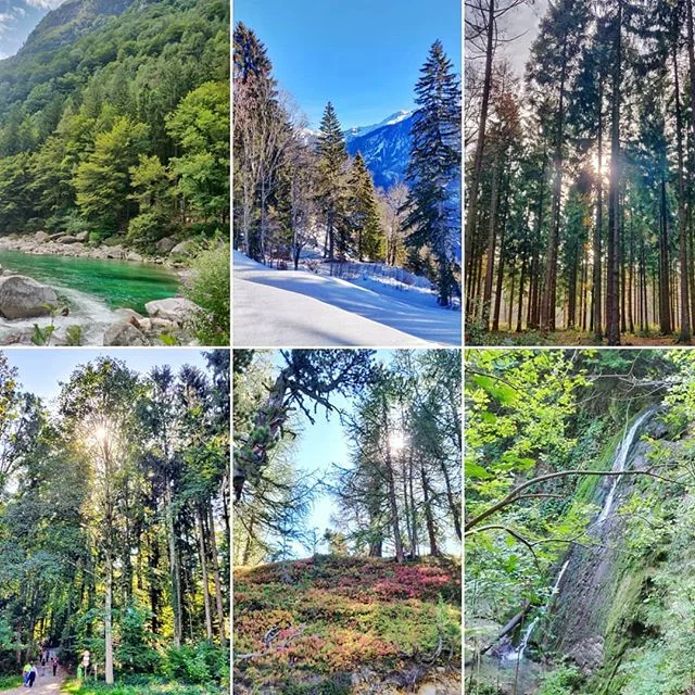 It's not just Amazon or another forest which is dying, it's so many wildlife within. It's dependence of generation, which is ending, as we speak. And we still sit here, take that flight when we can avoid, consume palm oil when we can say a no, consum