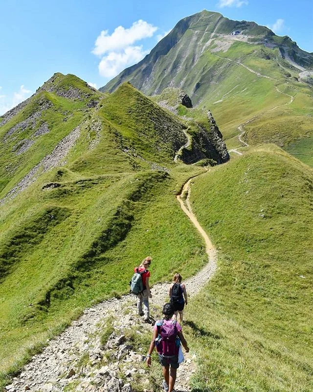 चले चलो.
.
.
.
.
.
Pc: @lugas.raka
.
.
#mountainvibes #hikinglove #clickalps #swissalps  #ridge #hiking #explore