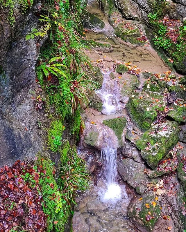 Something that scares me - not  having the ability to perceive colors. Colors can make you sad and happy and everything in between, and beyond. As a kid or as an adult. And that's why falls are just so confusingly beautiful. I wish they could stay mo