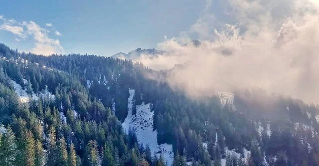 Healing 💛
.
.
.
.
#naturephotography #winter #snow #fog #travels