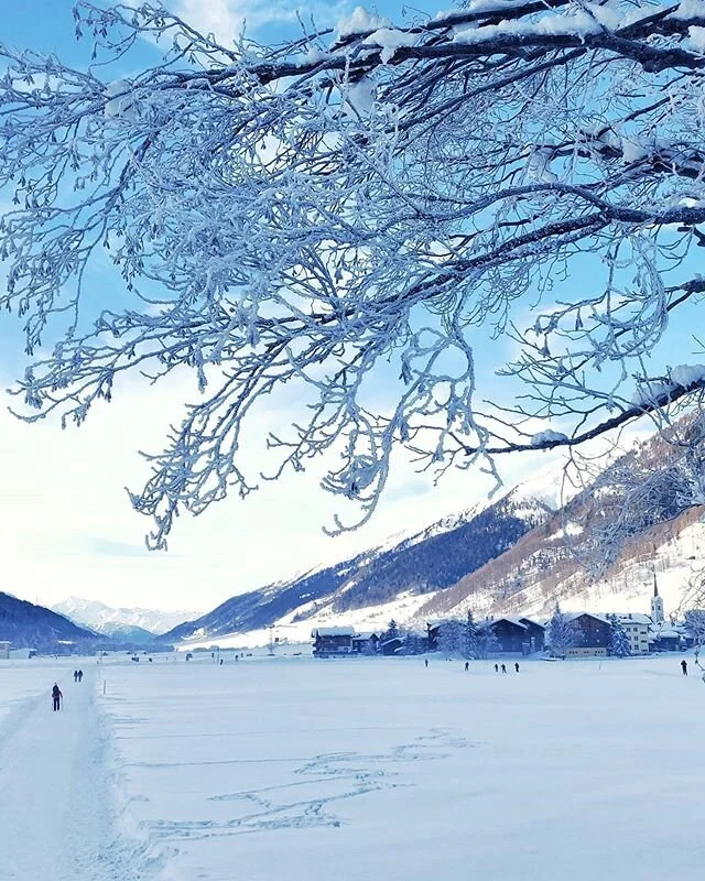 When Narnia is true.
.
.
.
.
.
.
#winterhiking #hikersparadise #switzerland #alps #valais #hikingadventures #naturephotography