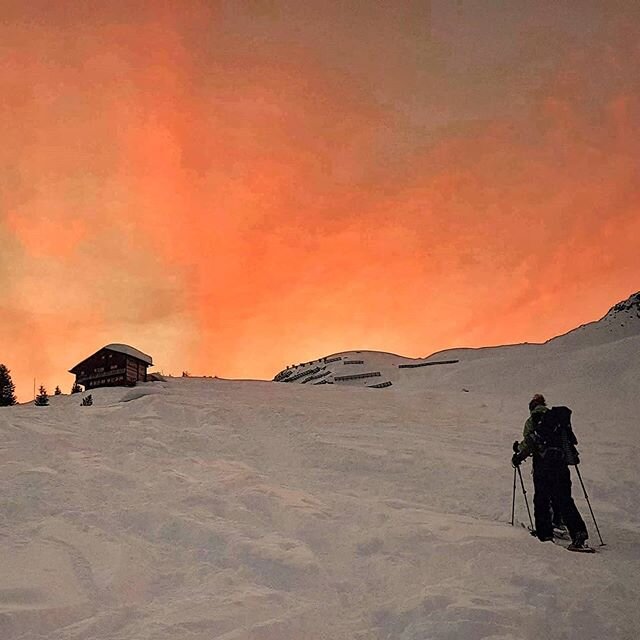 (1/6) Being a climate/biodiversity activist.
.
.
From the series: Rants for little personal actions (with large impacts) for taking care of environment. Now that we are all in a lockdown, and can see the issues with a global crisis, but hope of a glo