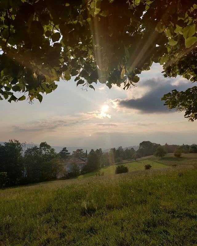 Step 3. Vote. .
.
Series: Little steps for larger impact in favor of environment.
.
.
Now that we are all in a lockdown, and can see the issues with a global crisis, but hope of a global movement, I would like to bring your attention towards the bigg