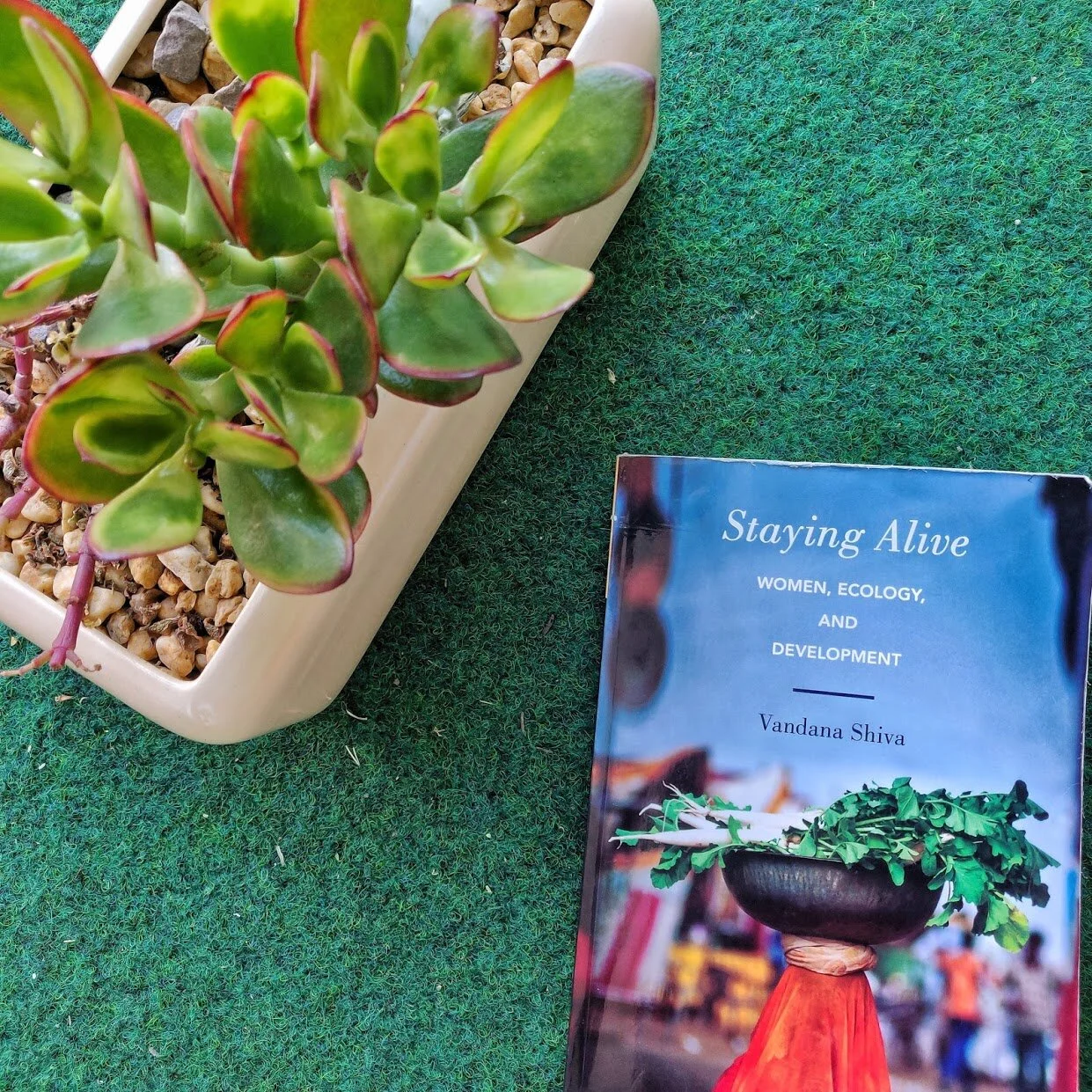 Resources on sustainability sciences and research