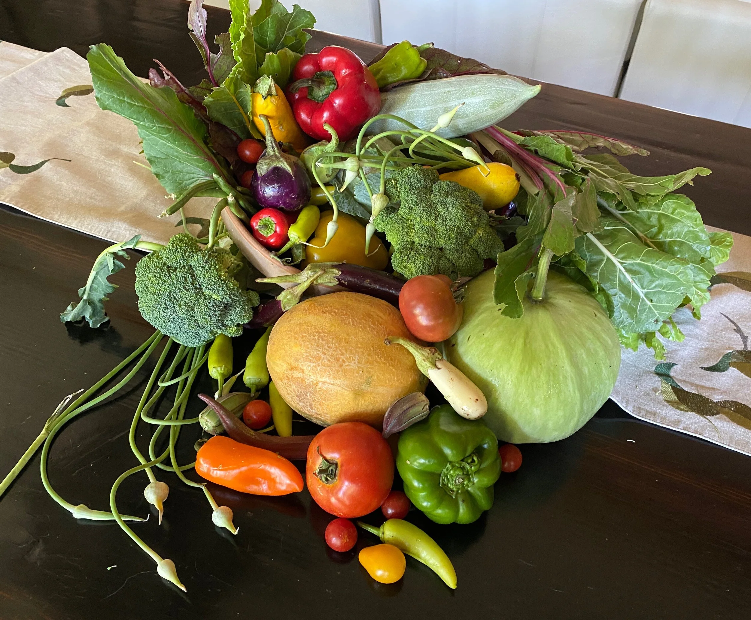 Sapling Farms Gift Card - $10