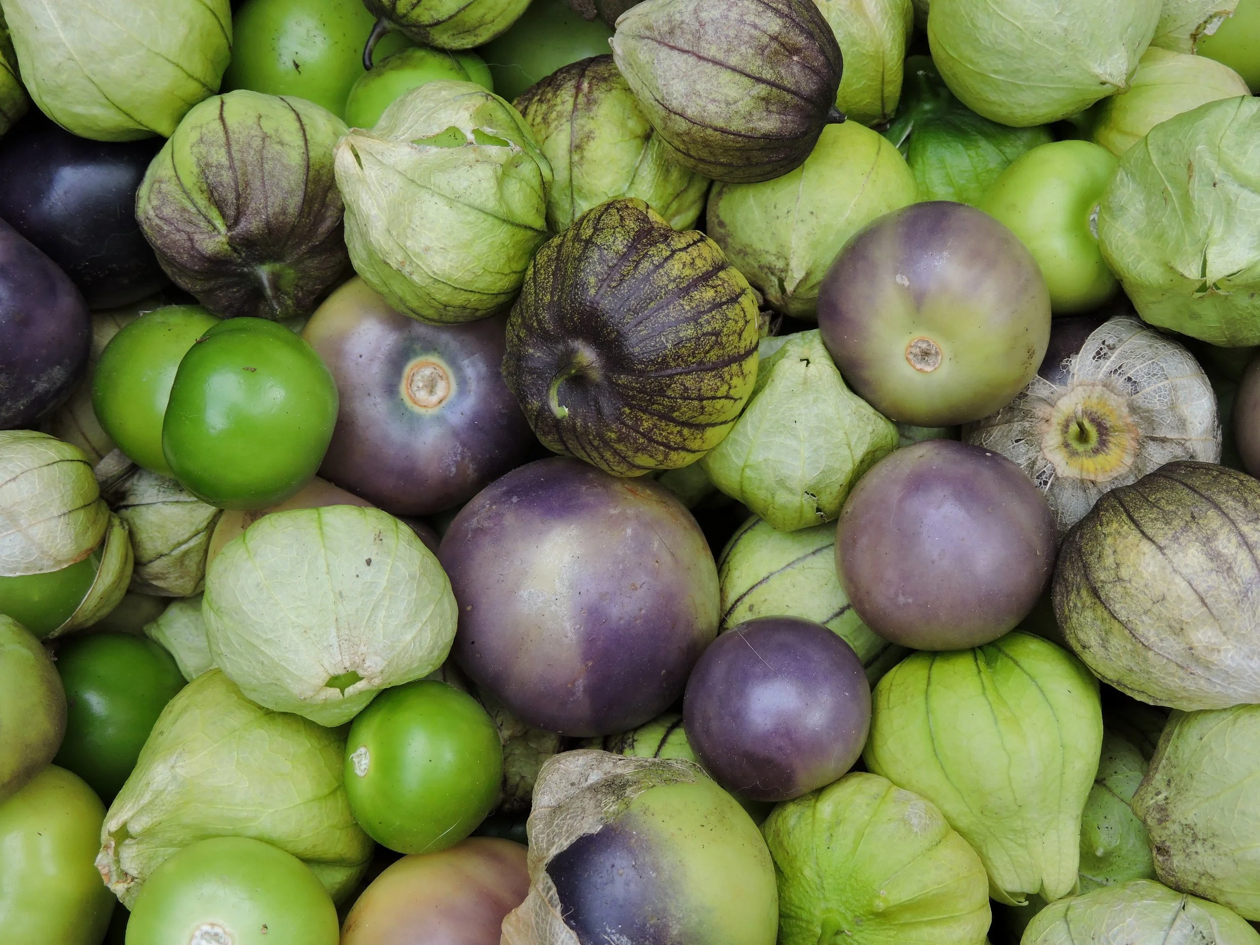 tomatillos.jfif