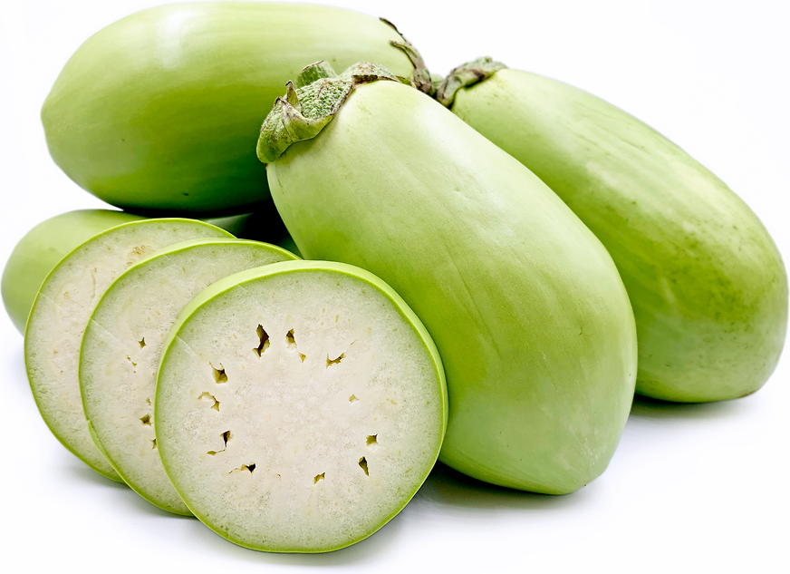Indian%2BRound%2BGreen.png