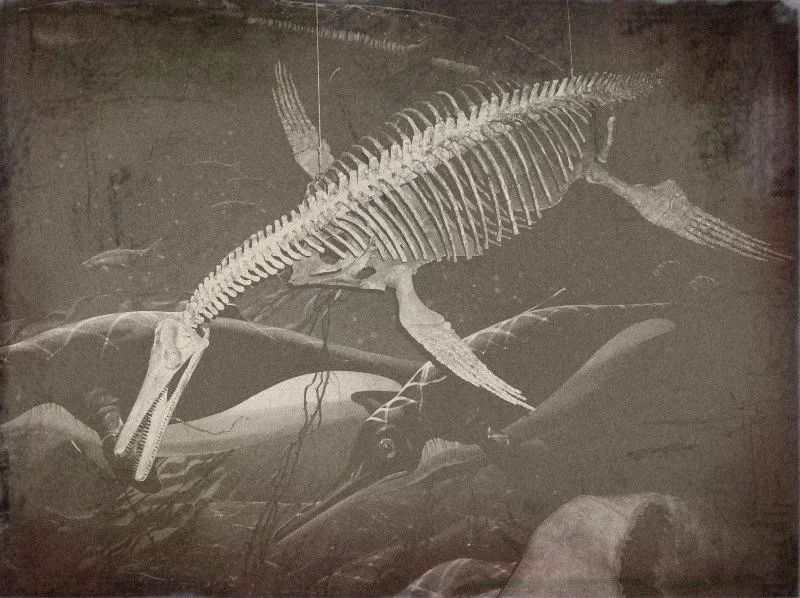 skeleton.jpg
