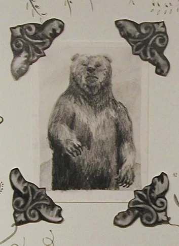 Grizzly Bear