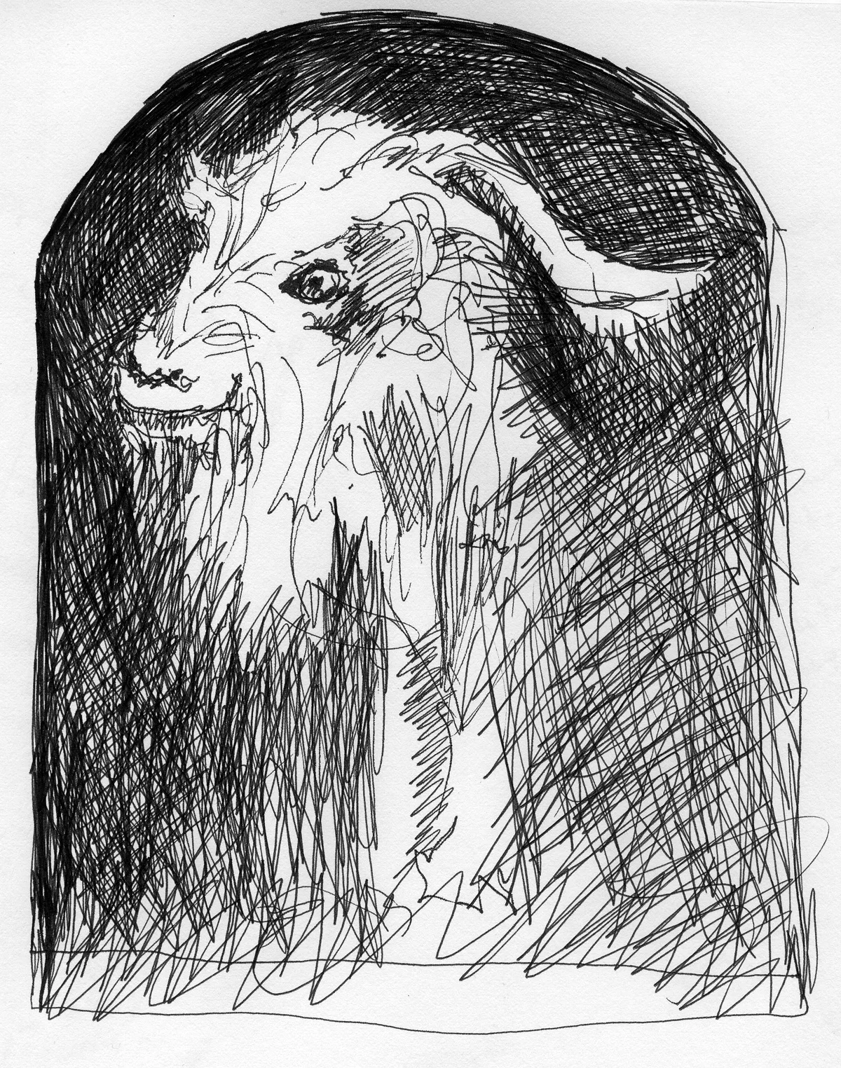 Billy Goat