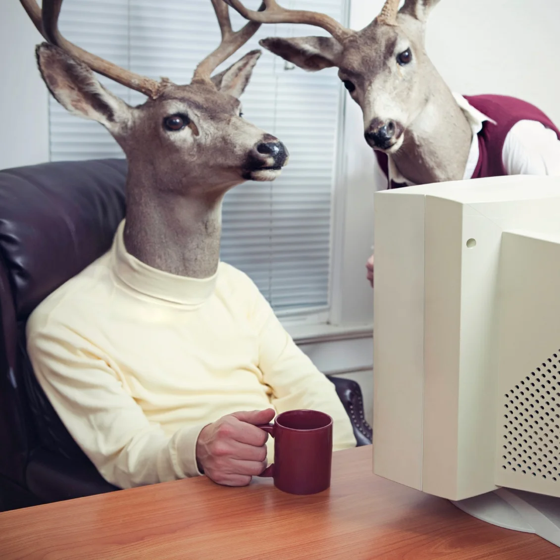 iStock_000011142062Medium.jpg