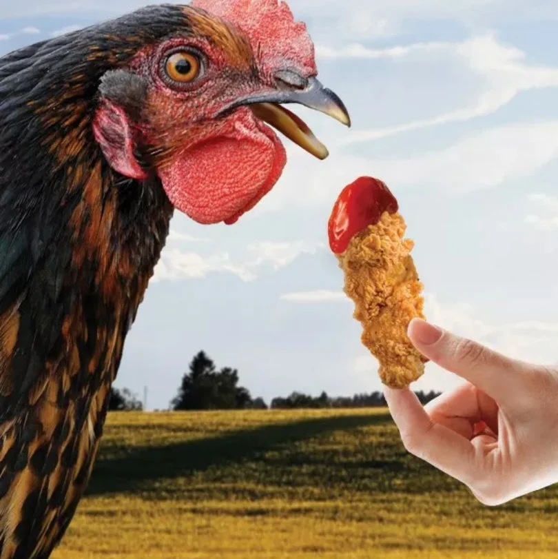 Beyond Meat