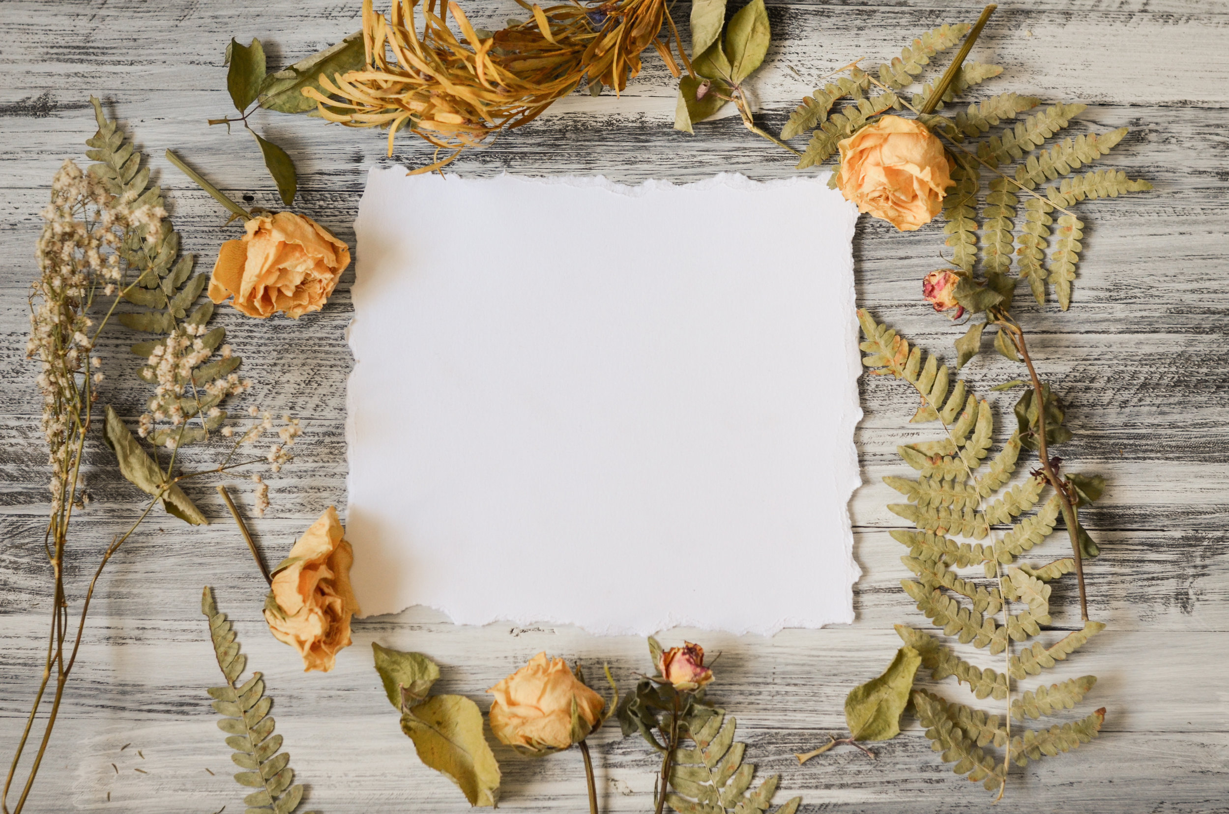 AdobeStock_124331941.jpeg