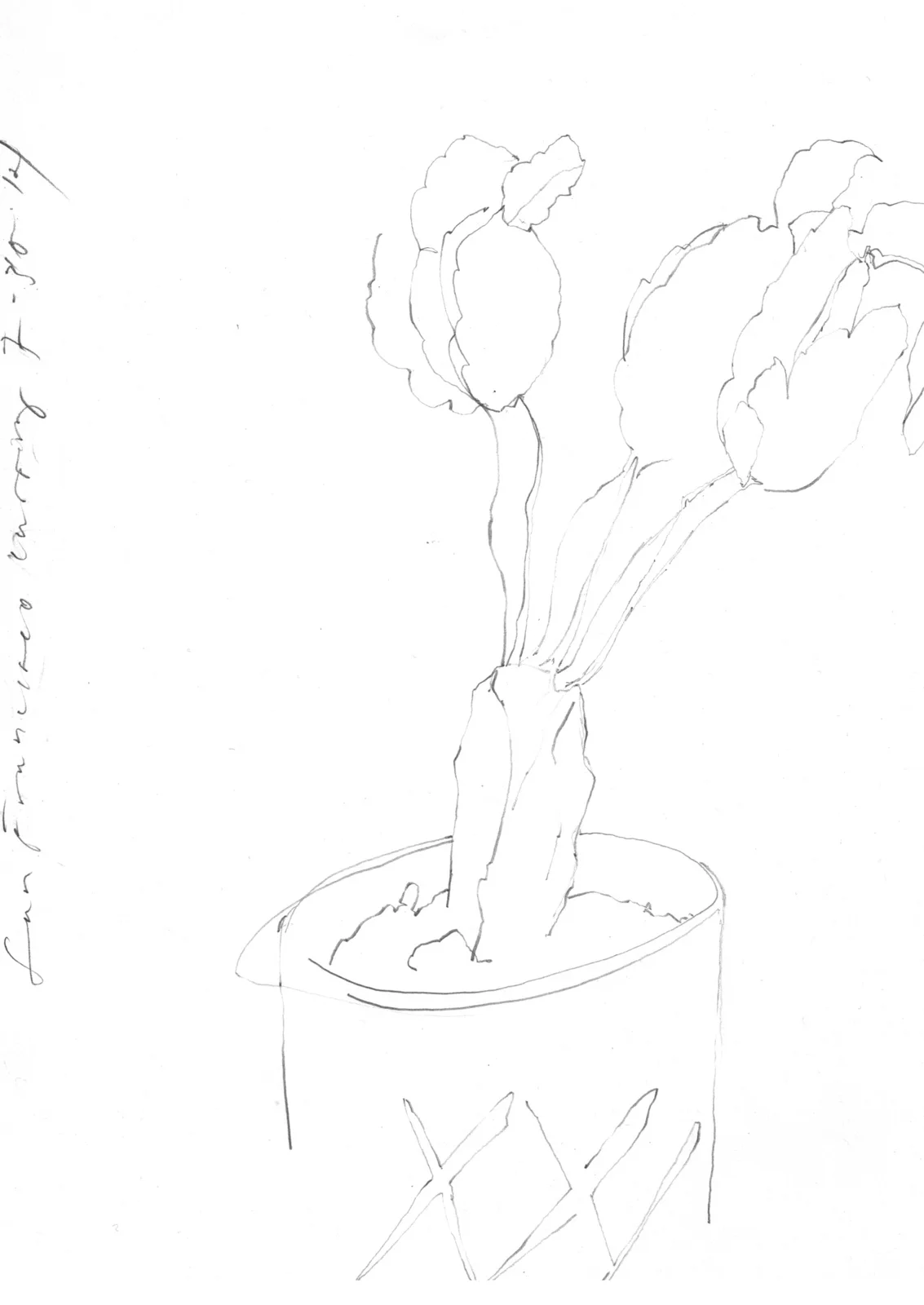 539865786592abcf-plant_1.jpeg