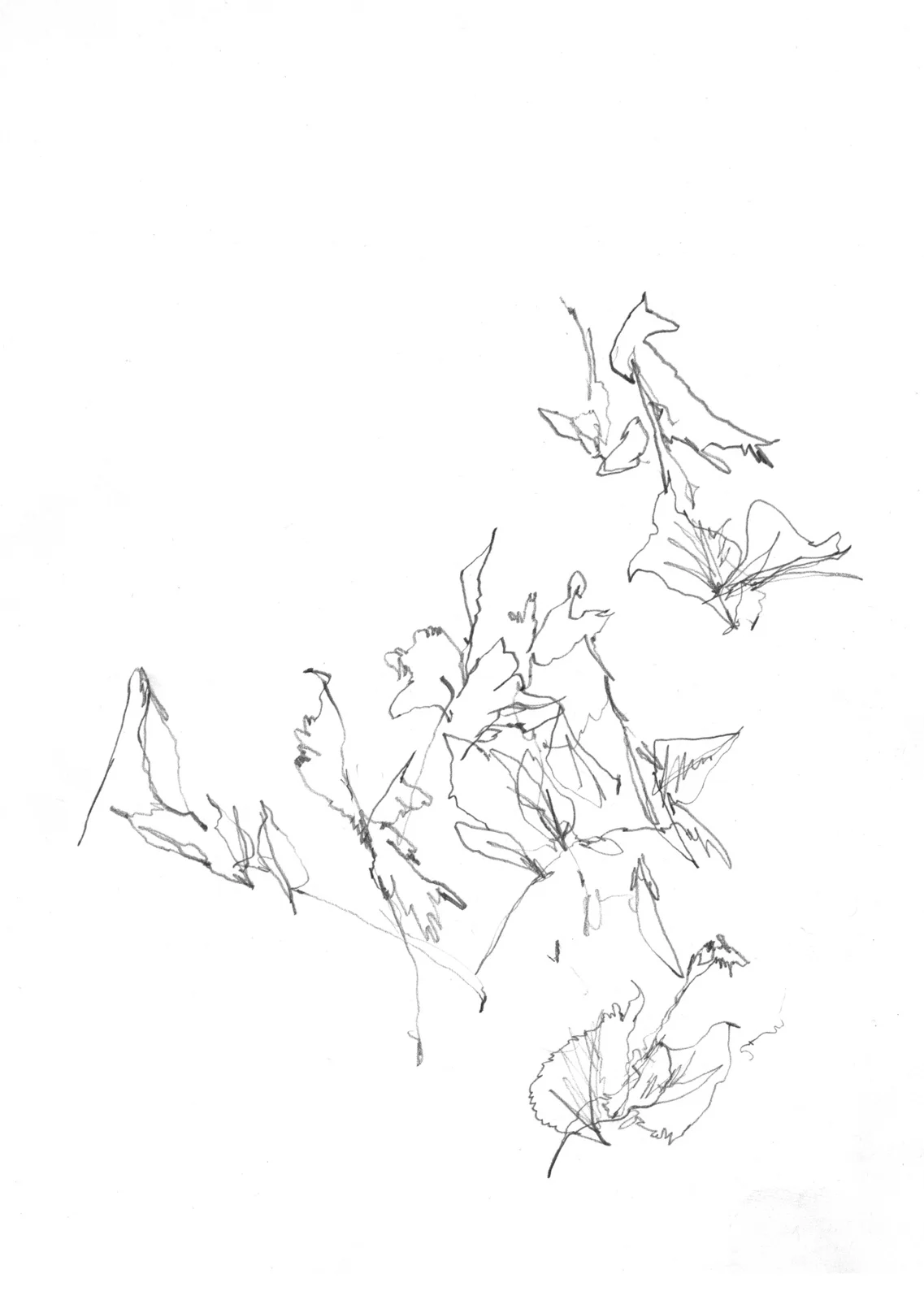 12cc2abaa44d473f-plant_16.jpeg