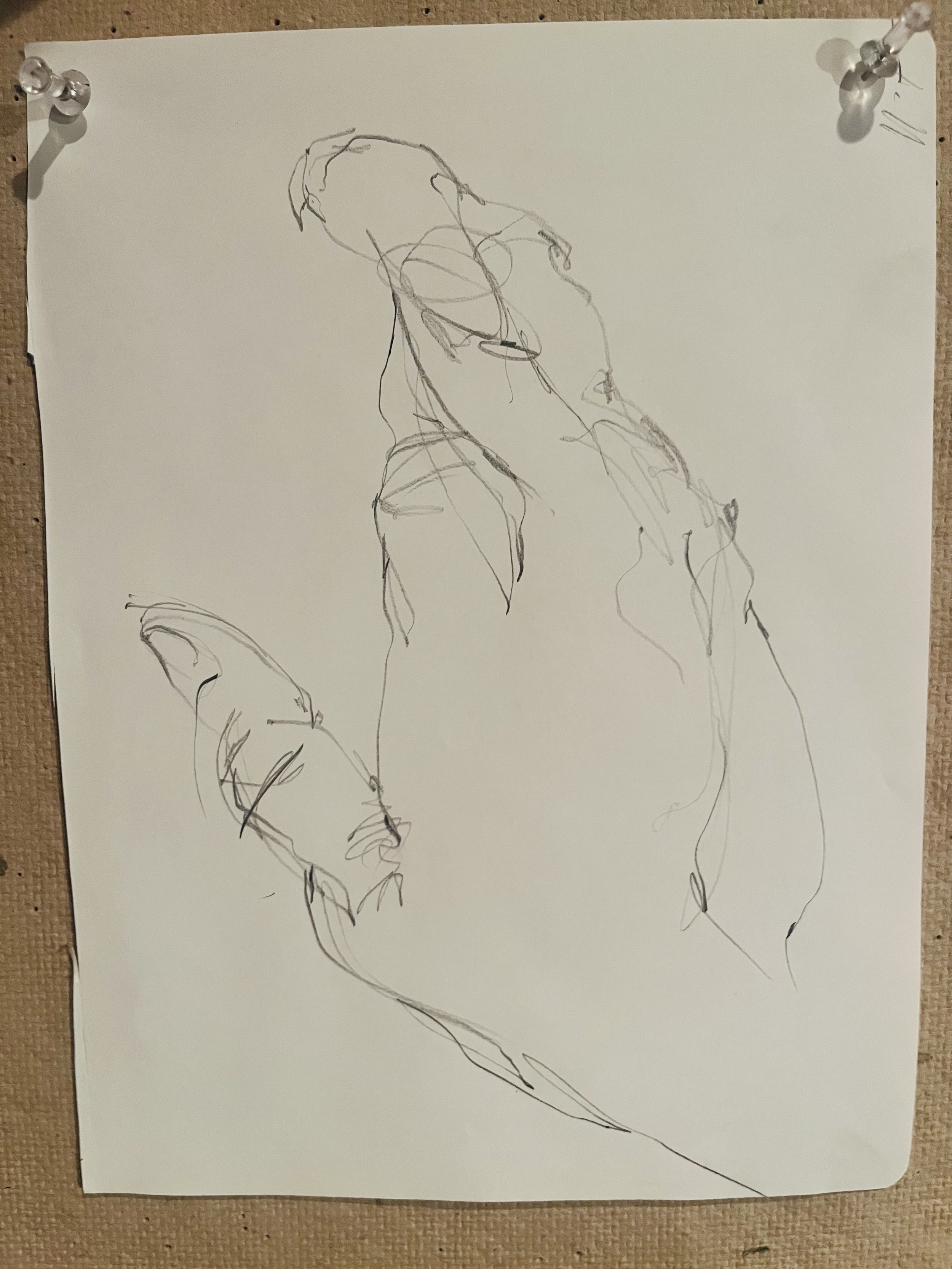 hand.jpg