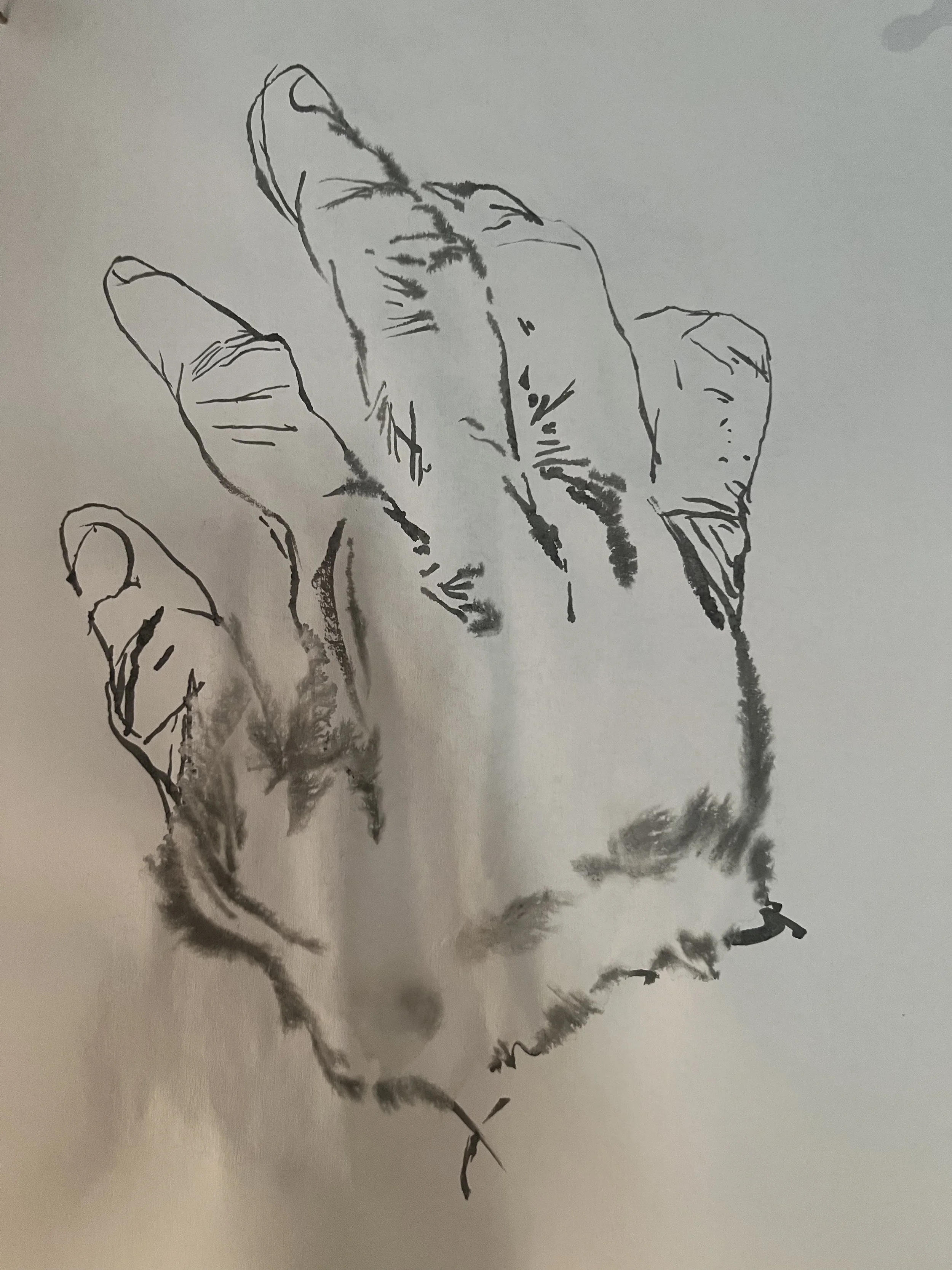 hand2.jpg